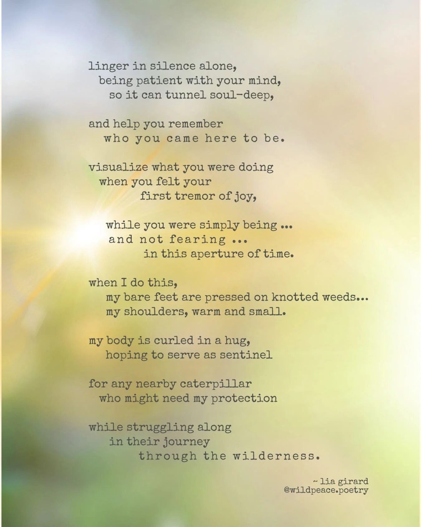 Do you remember who you are? And why you are here? 🦋☀️
.
.
.
#naturepoetry #selfcompassion #grace #smallthings