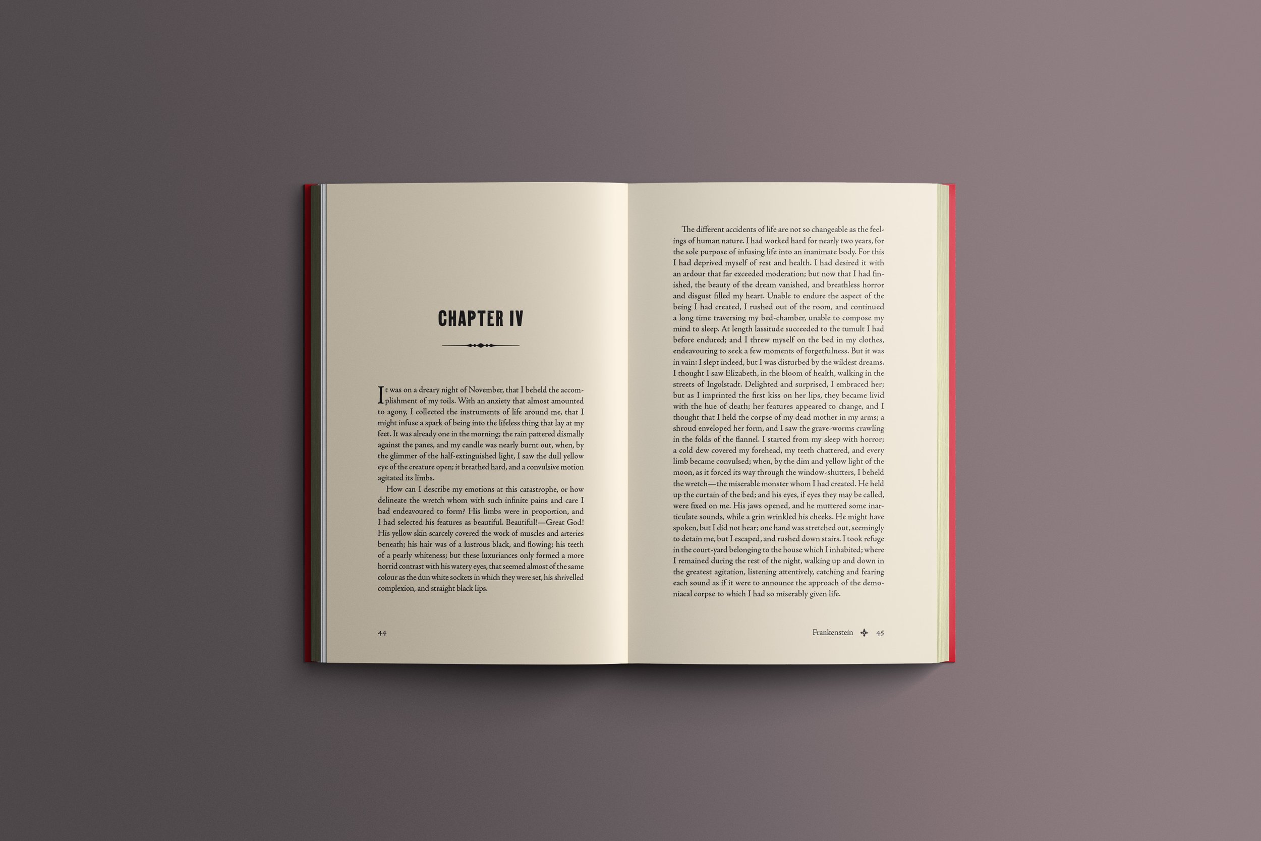 Tabitha-Lahr_pagesmockup-4.jpg