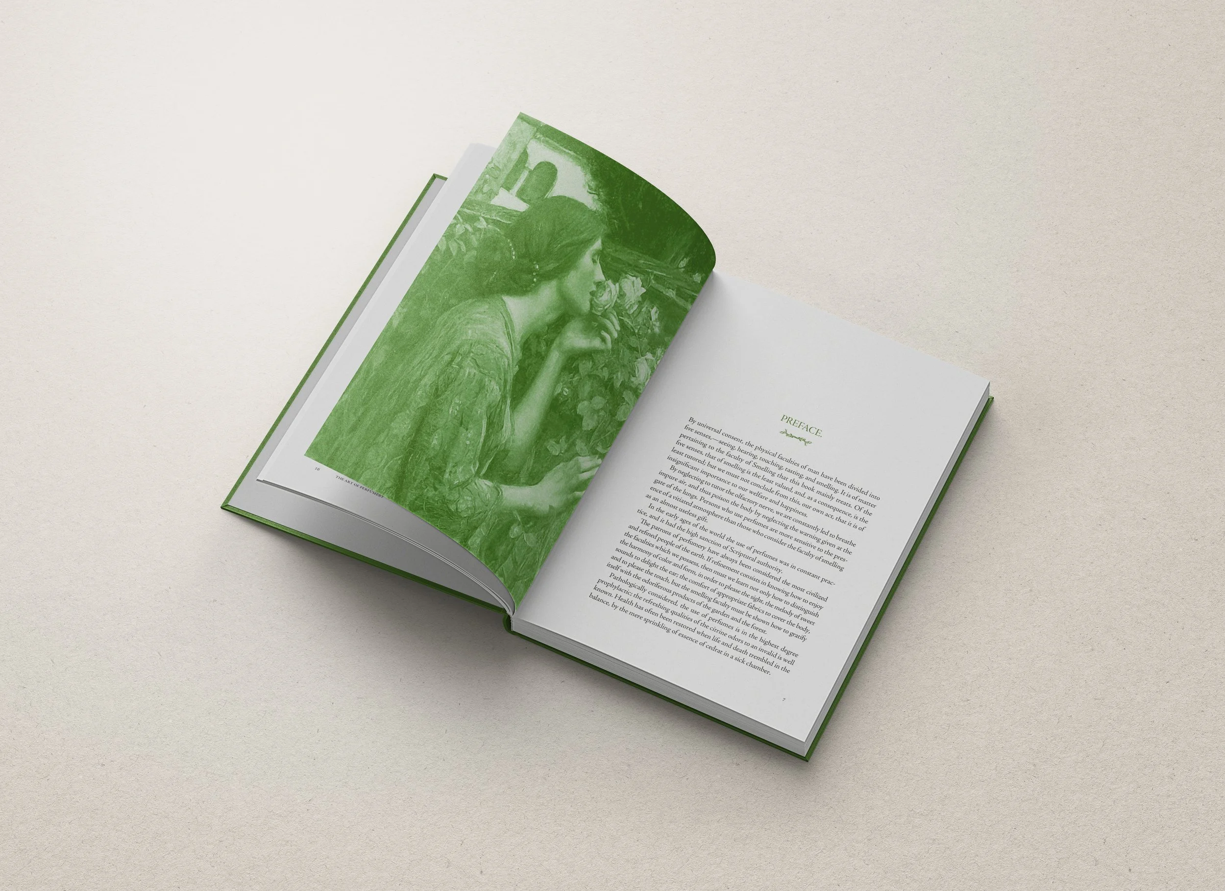 Nahomi Cuadra_Chapter Opener_The Art of Perfumery.jpg