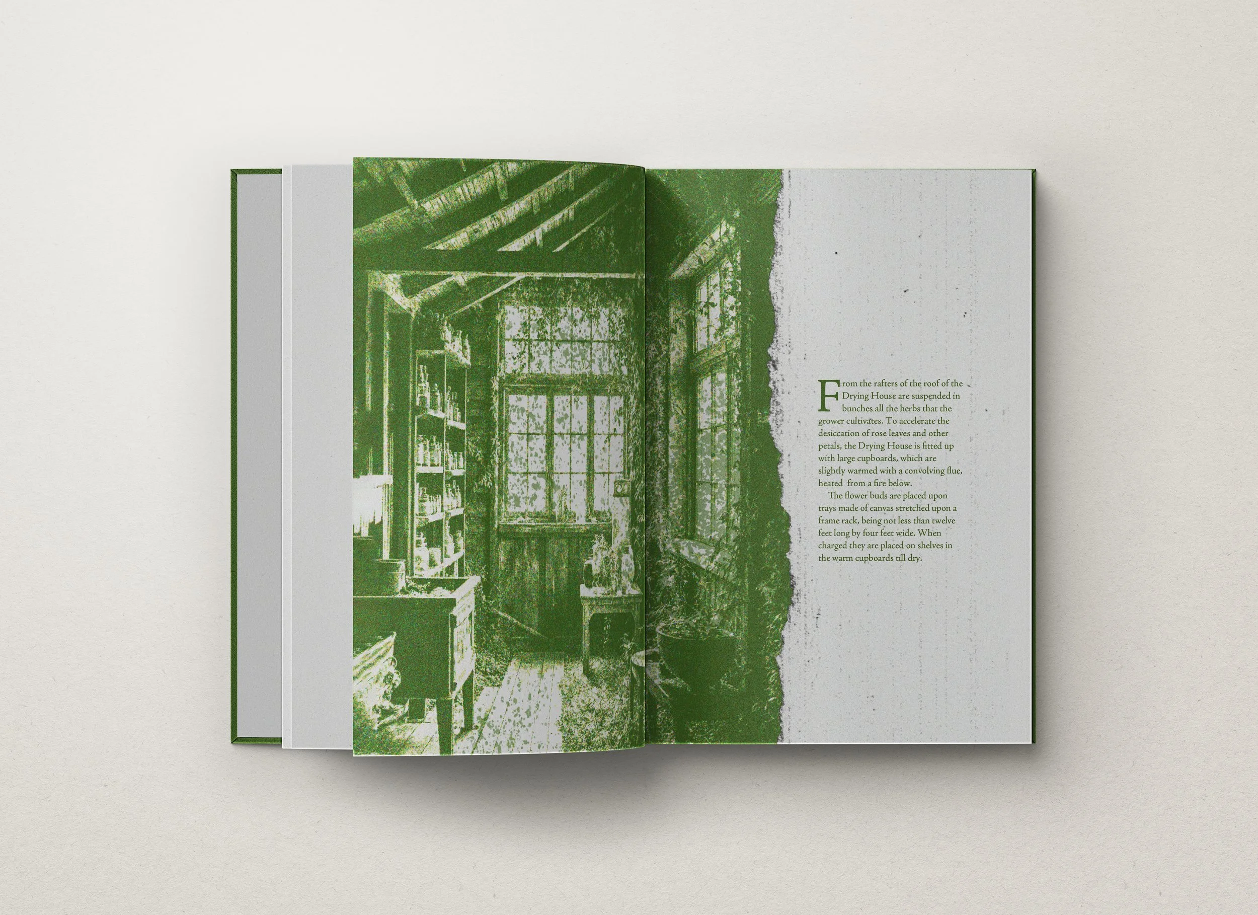 Nahomi Cuadra_Internal 1_The Art of Perfumery.jpg