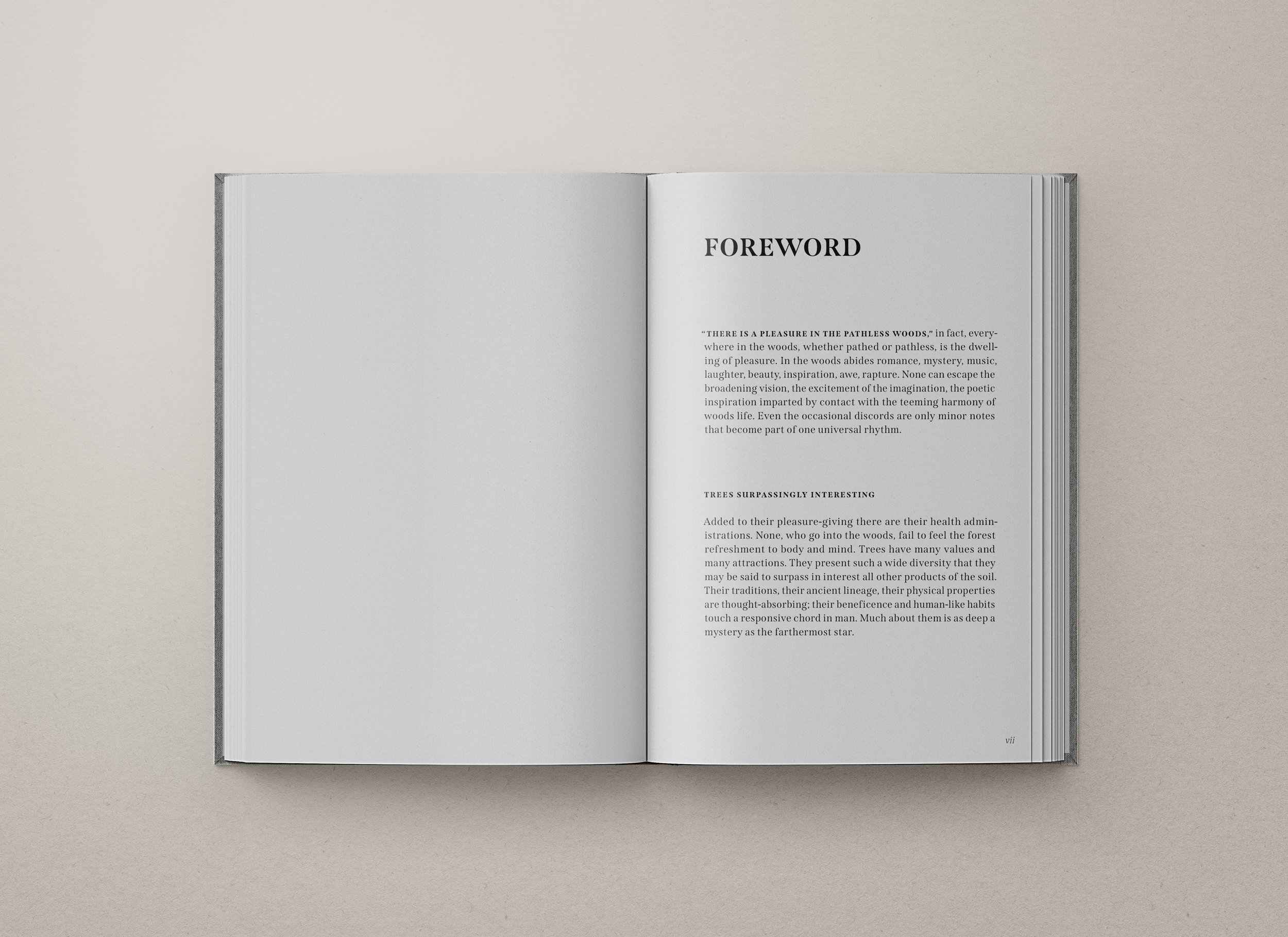 Connie-Lee_pages-mockup-03.jpg