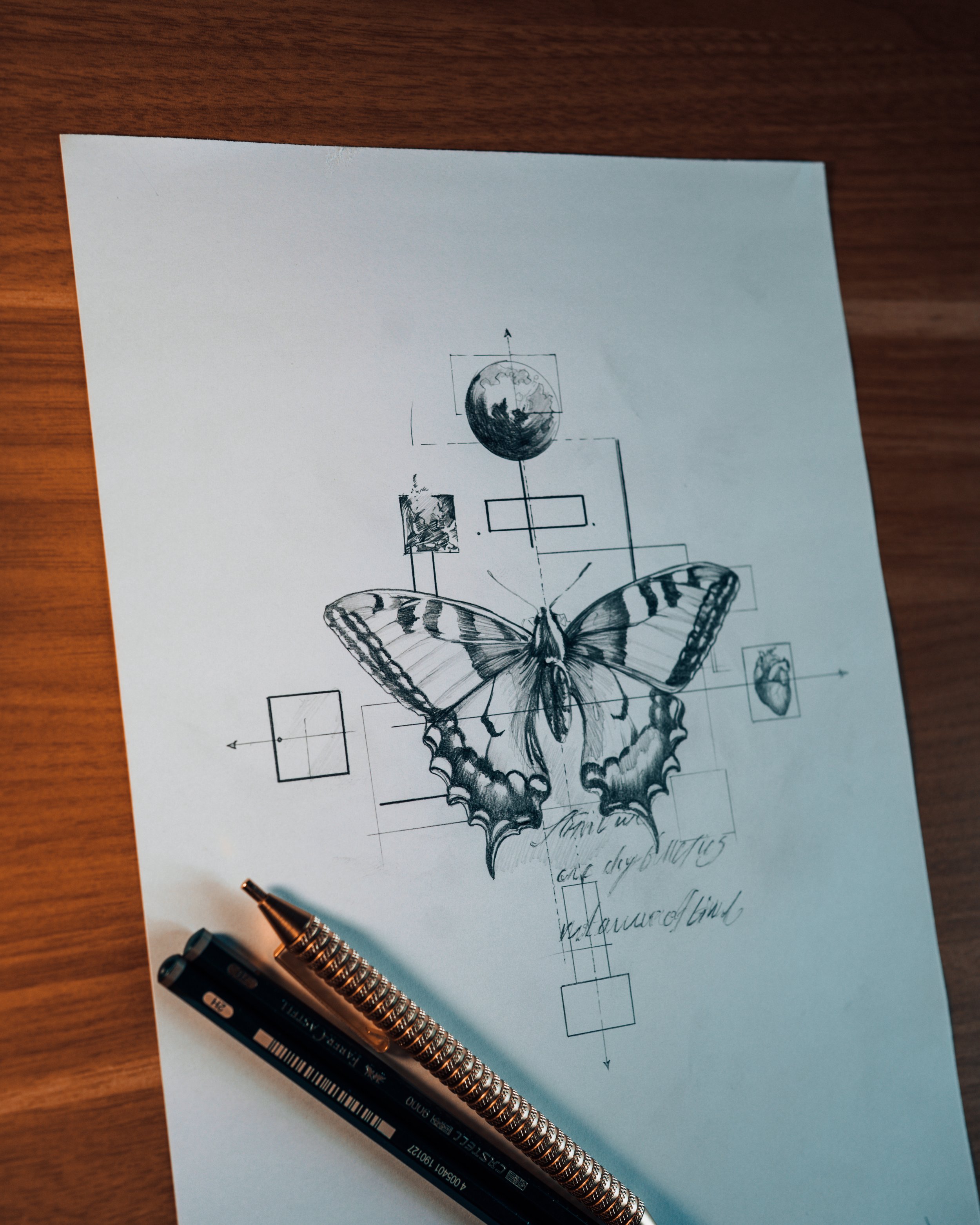 butterflybanff-7.jpg