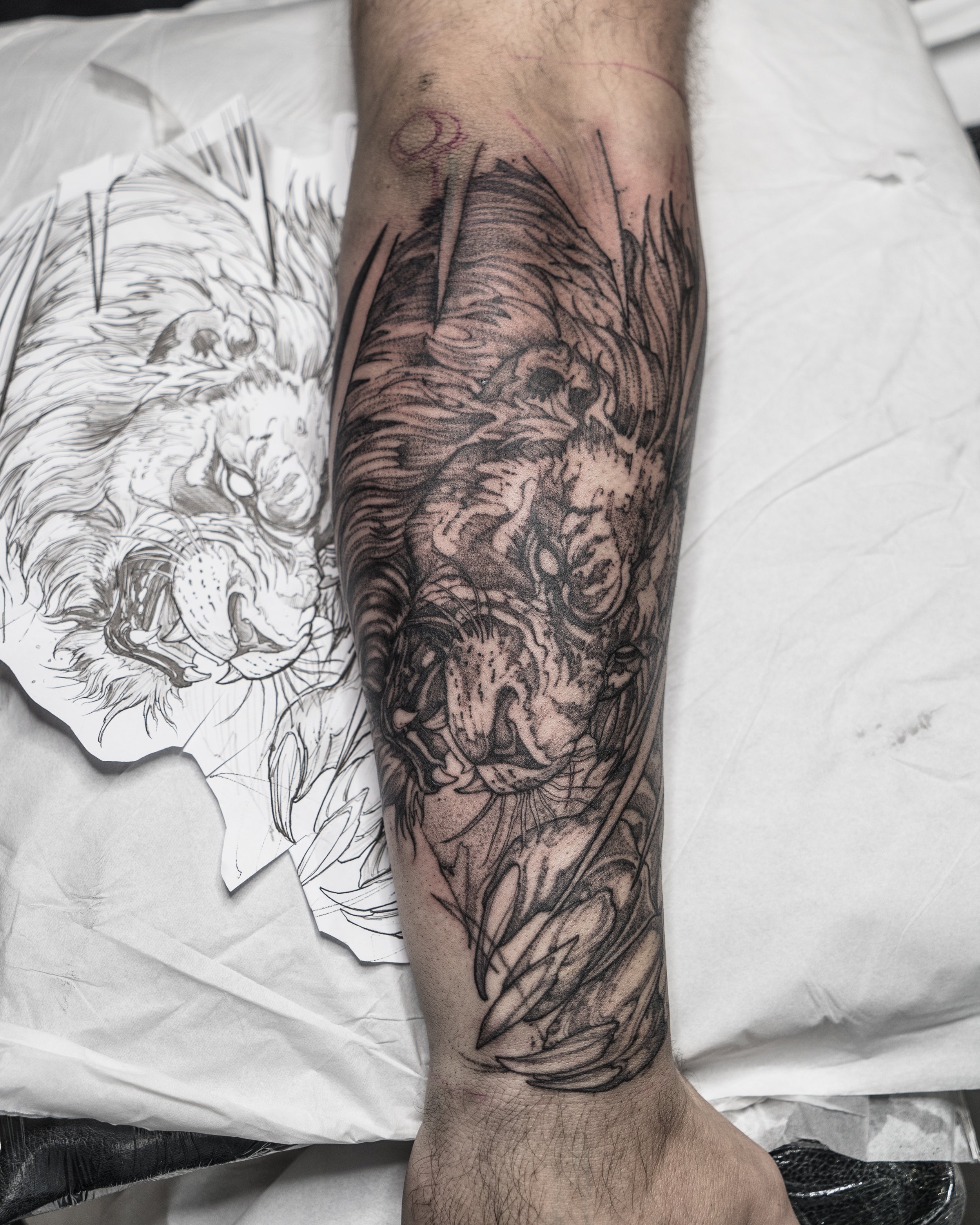 A person's arm with a tattoo of a fierce lion's head in black ink made in a Brighton tattoo studio.
