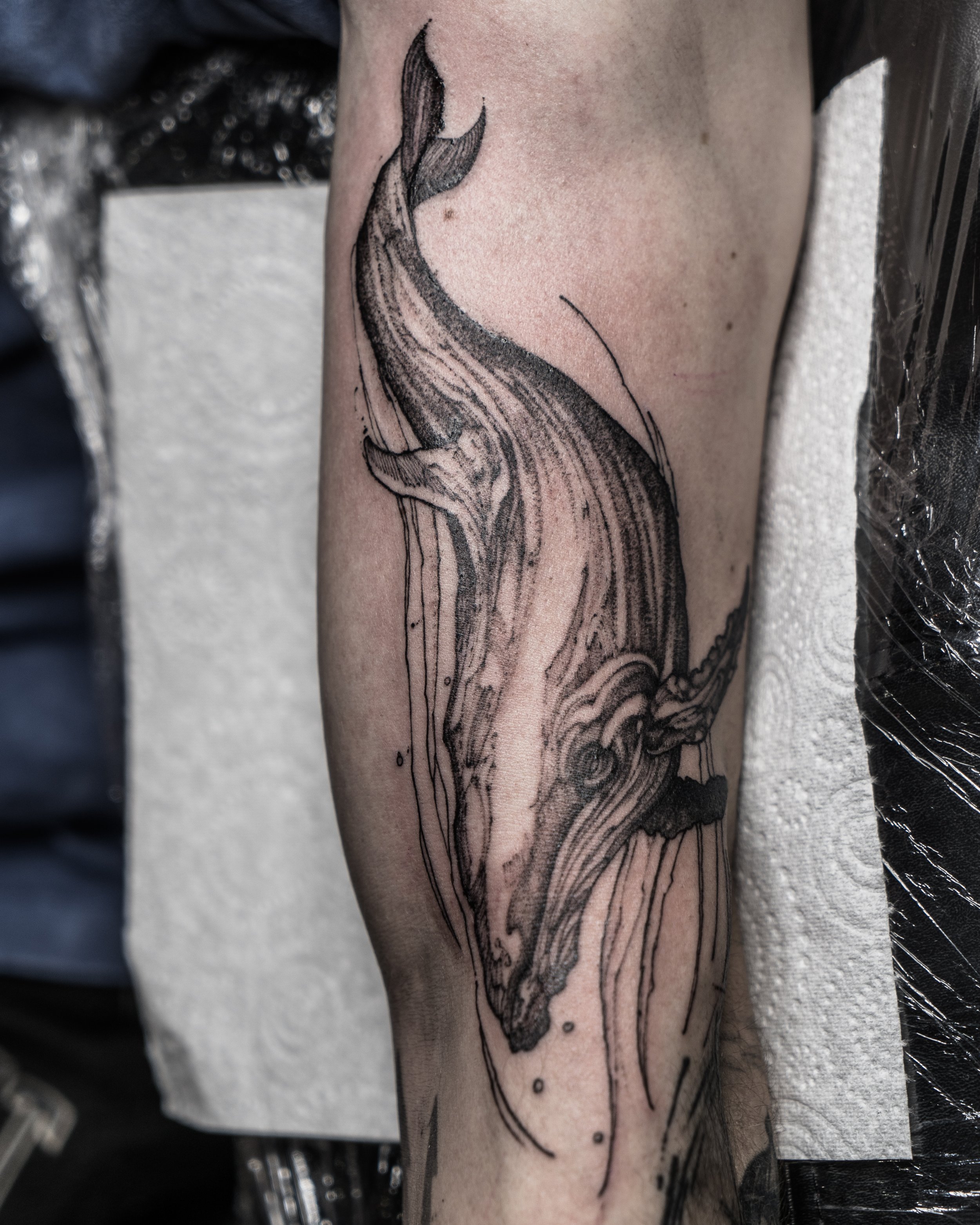 whale tattoo on arm