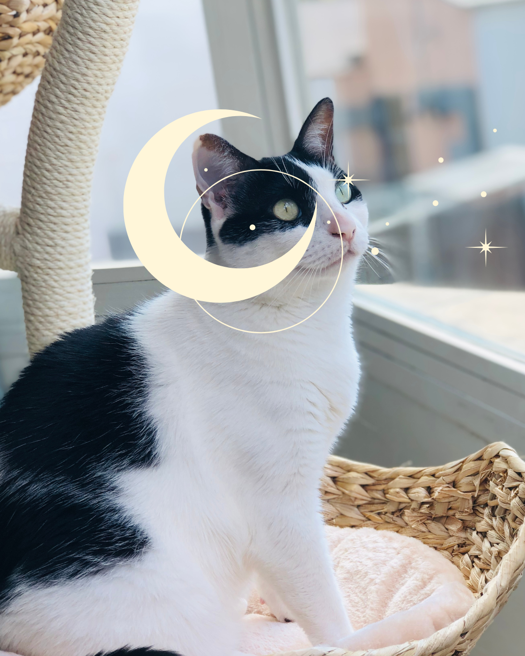 Diseño humano: Crianza consciente y respetuosa