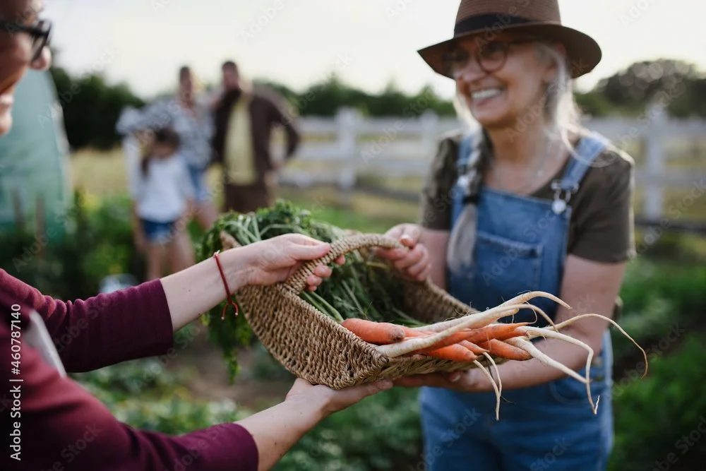 People harvesting carrots from a farm with a woman smiling, wearing glasses and a hat, handing carrots to another person.