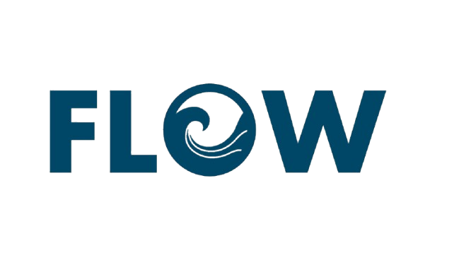 Team Flow