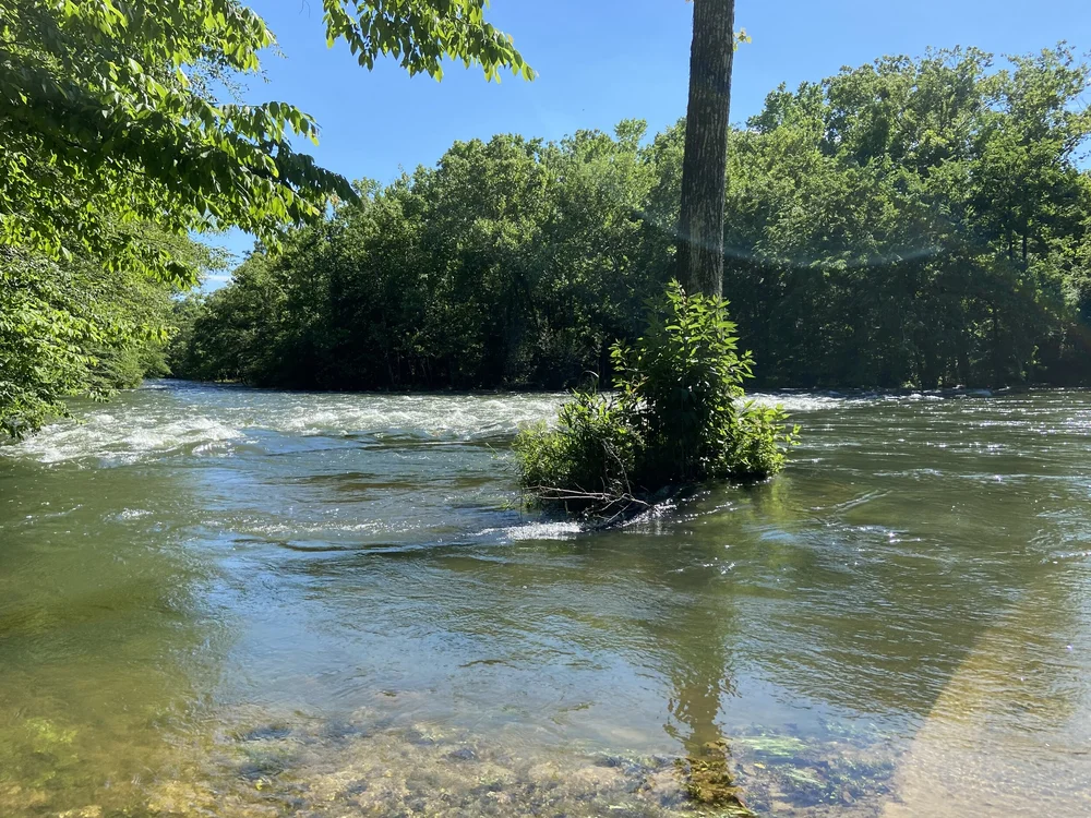 Little Missouri River Tailwater Generation Schedule Livin Lazy Cabin little-missouri-river-tailwater-generation-schedule-livin-lazy-cabin