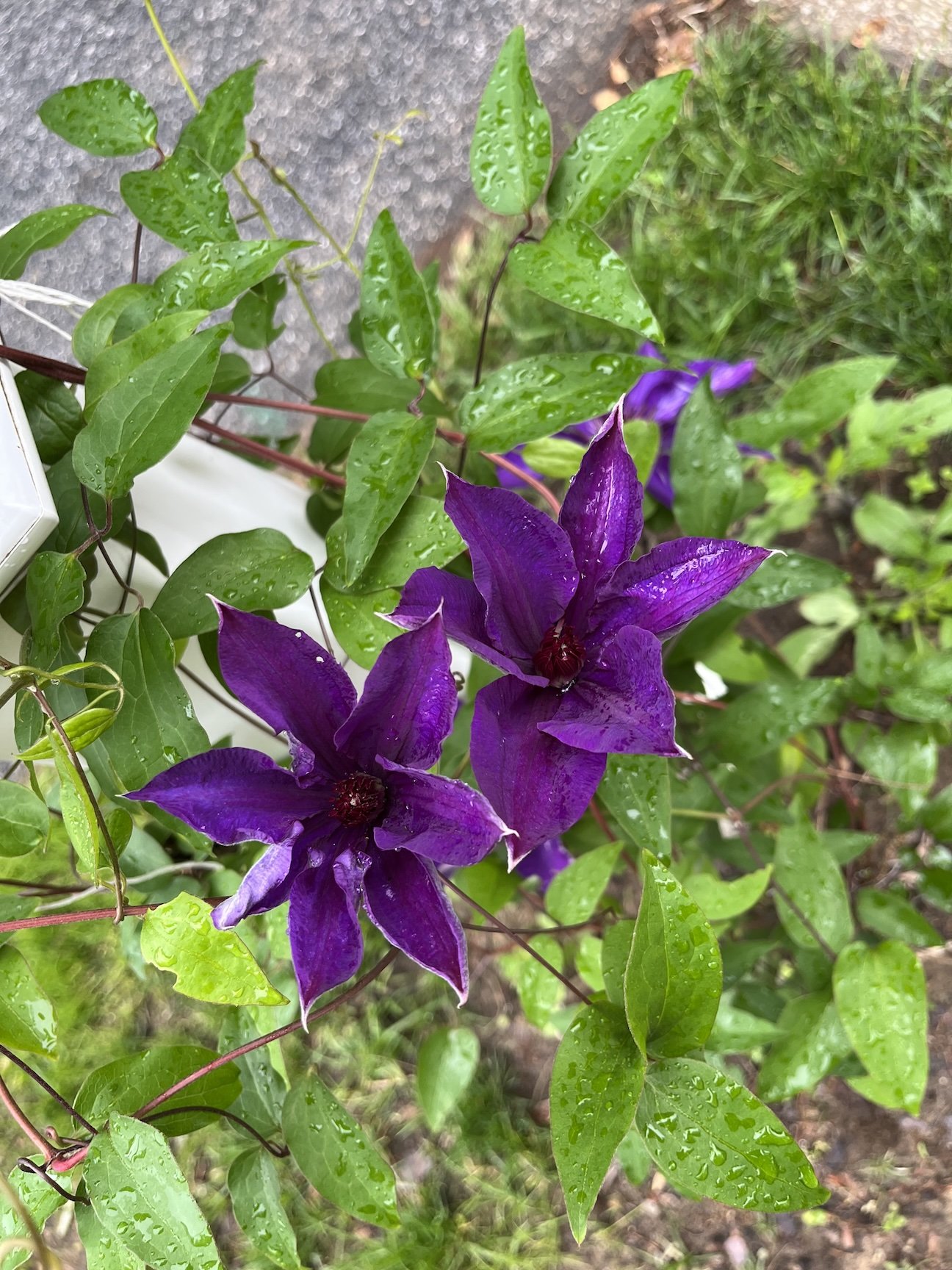 Full-Day (9AM-4PM): Spring 2026 Art Camp