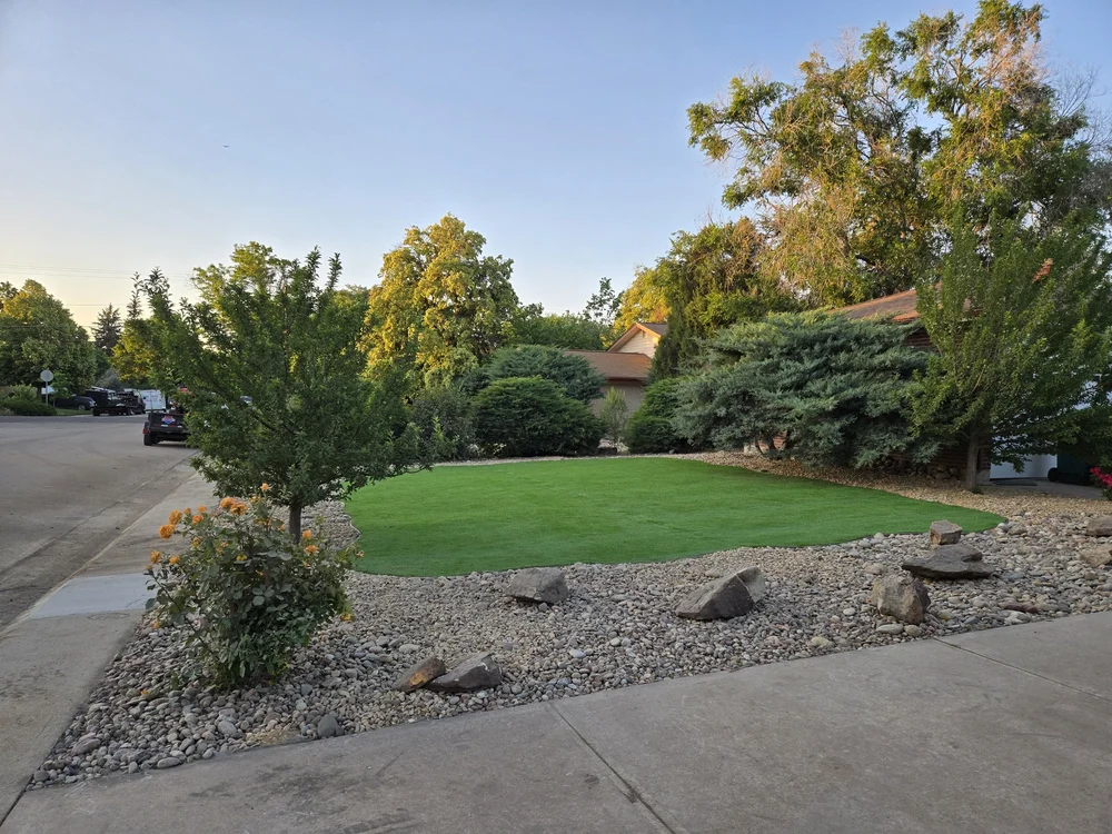 Landscaping & Yard Renovations