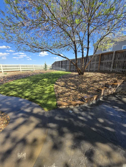 Lawn transformation by reviewer Shane K.