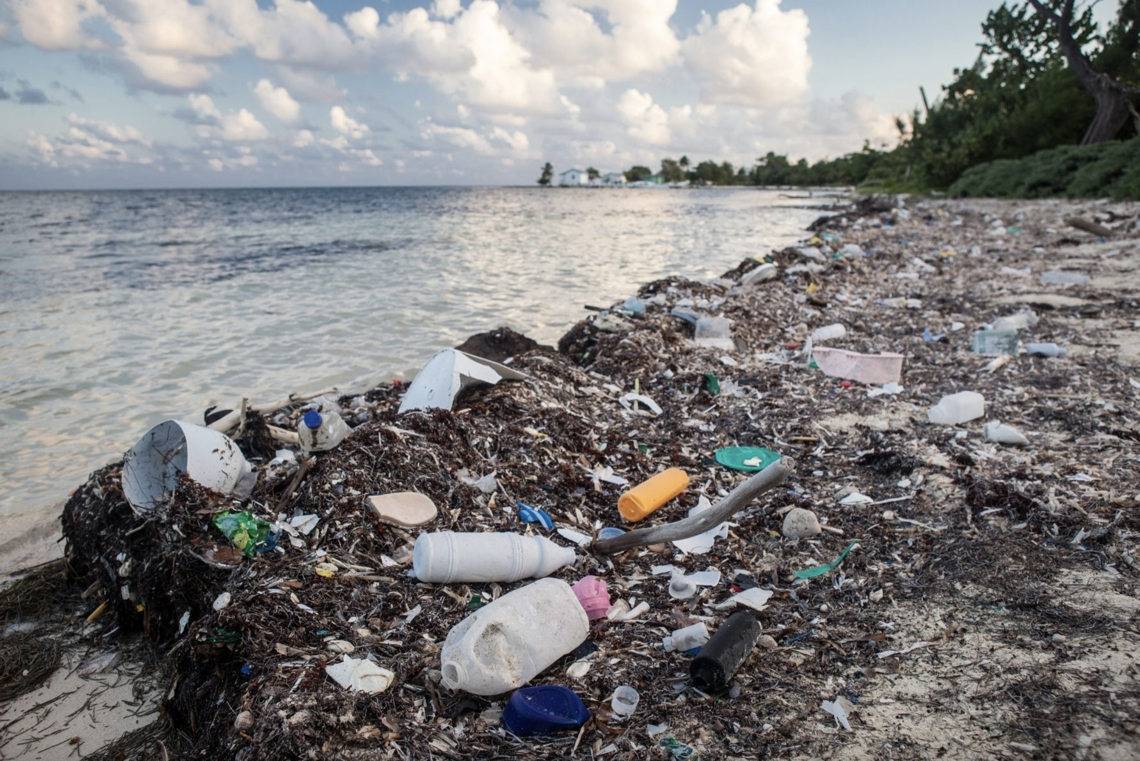 Beach shoreline polluted with plastic and debris, with water and cloudy sky in the background.