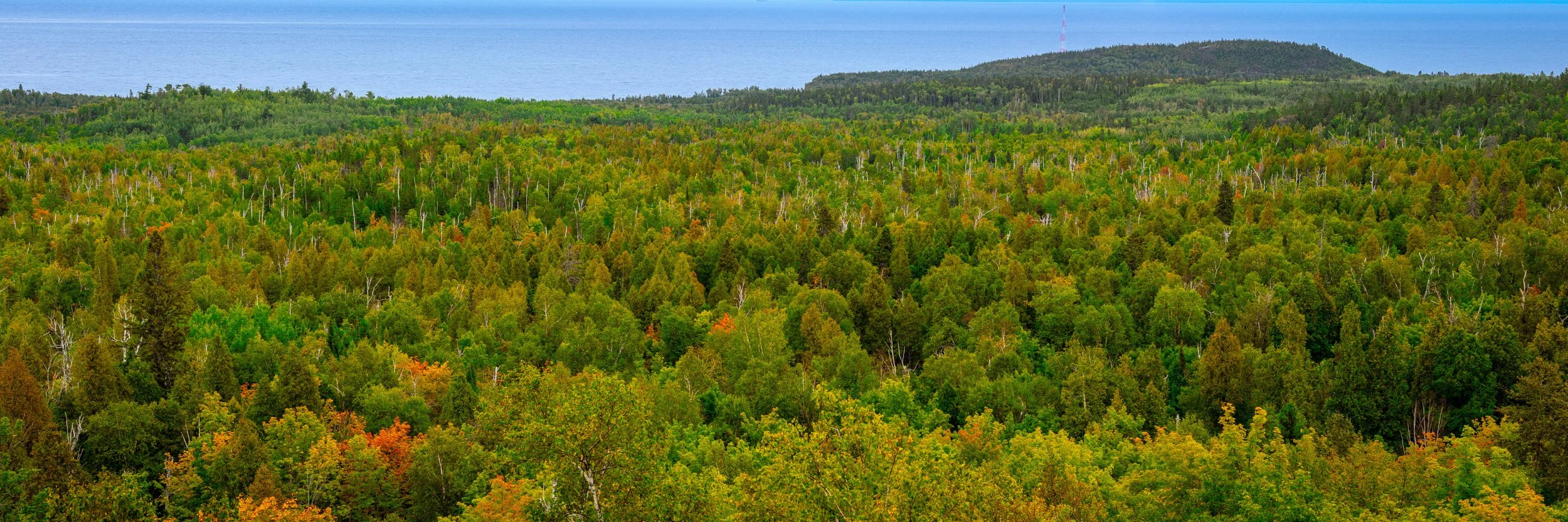 SPDL1362-Pano.jpg