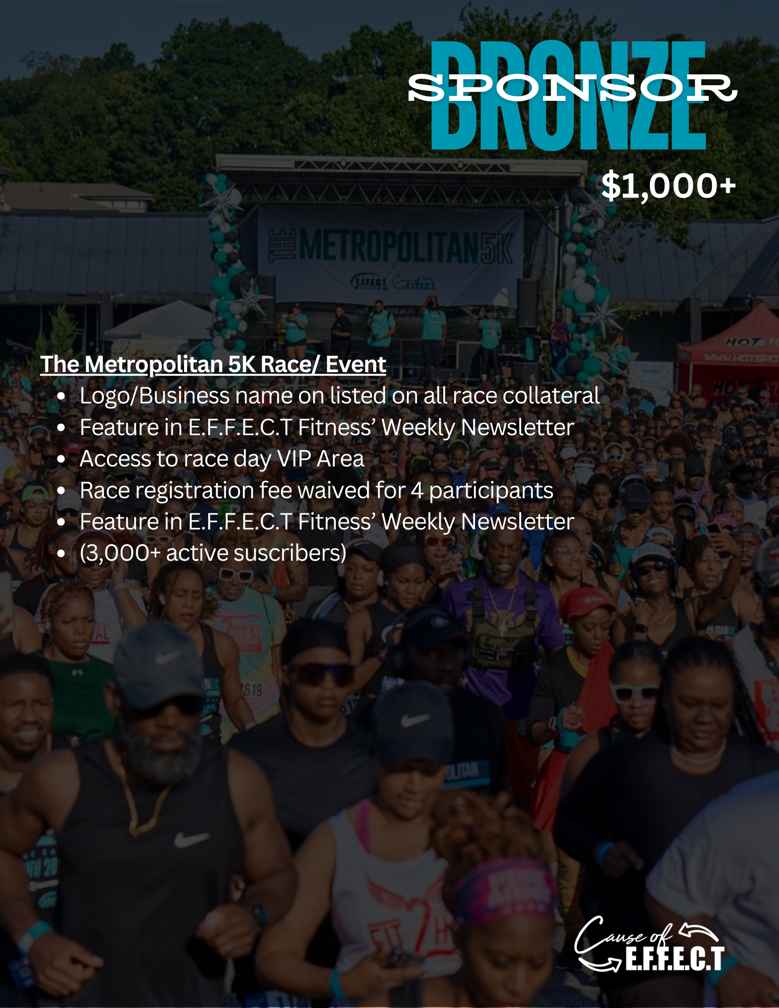 Sponsorship pages for website (3).png