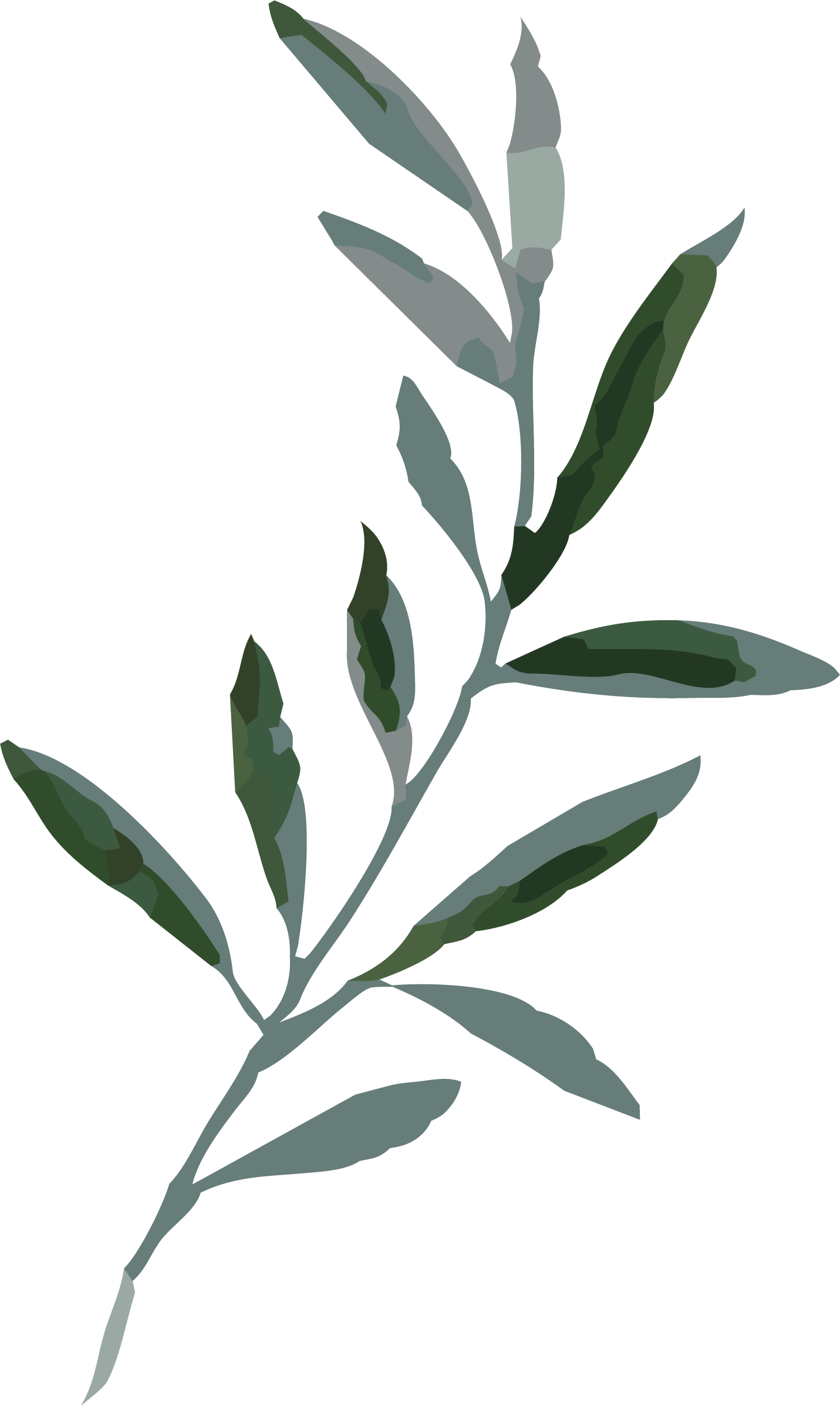 leaf sprig