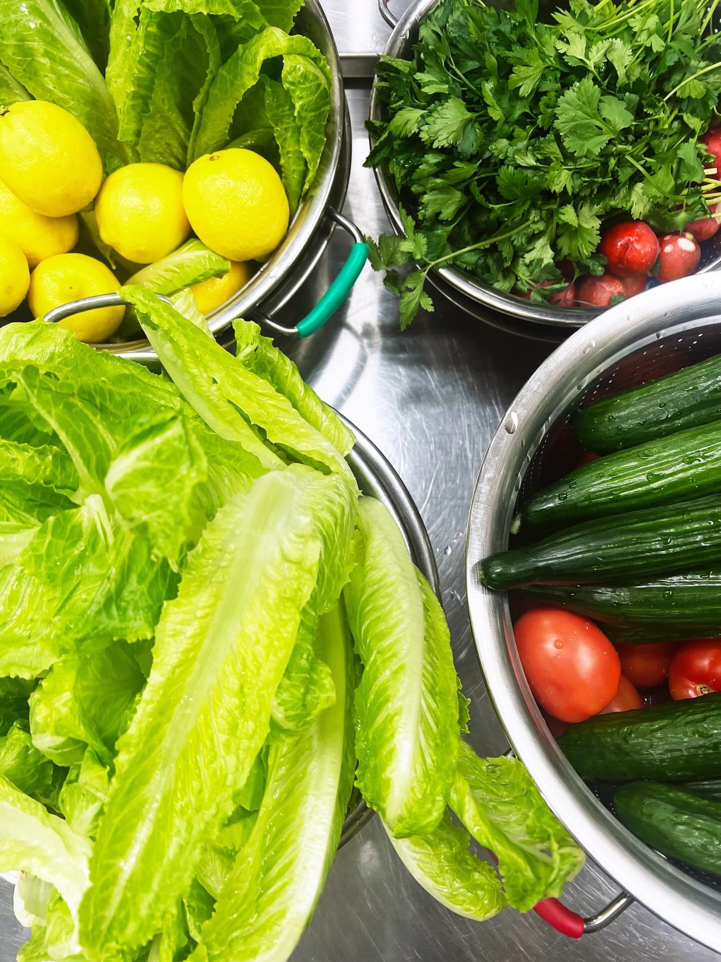 We&rsquo;re dreaming of next weeks Chicken Shawarma, Rice &amp; Fattoush Salad 🤤🥗 

🚨 Don&rsquo;t forget, the deadline to order your Meal for Two is Monday, April 20th at midnight for picking up on Thursday, 4/23 between 4-6pm at The Hope Center ?