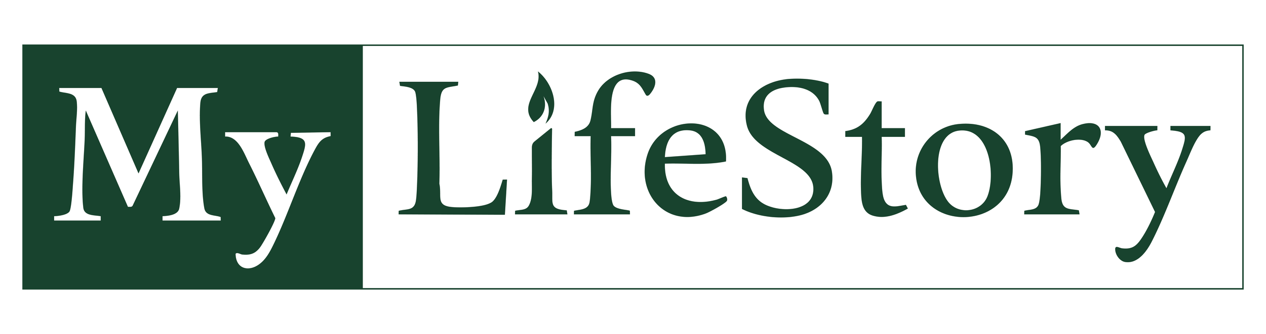 Street sign reading "My Life Story" in green and white.
