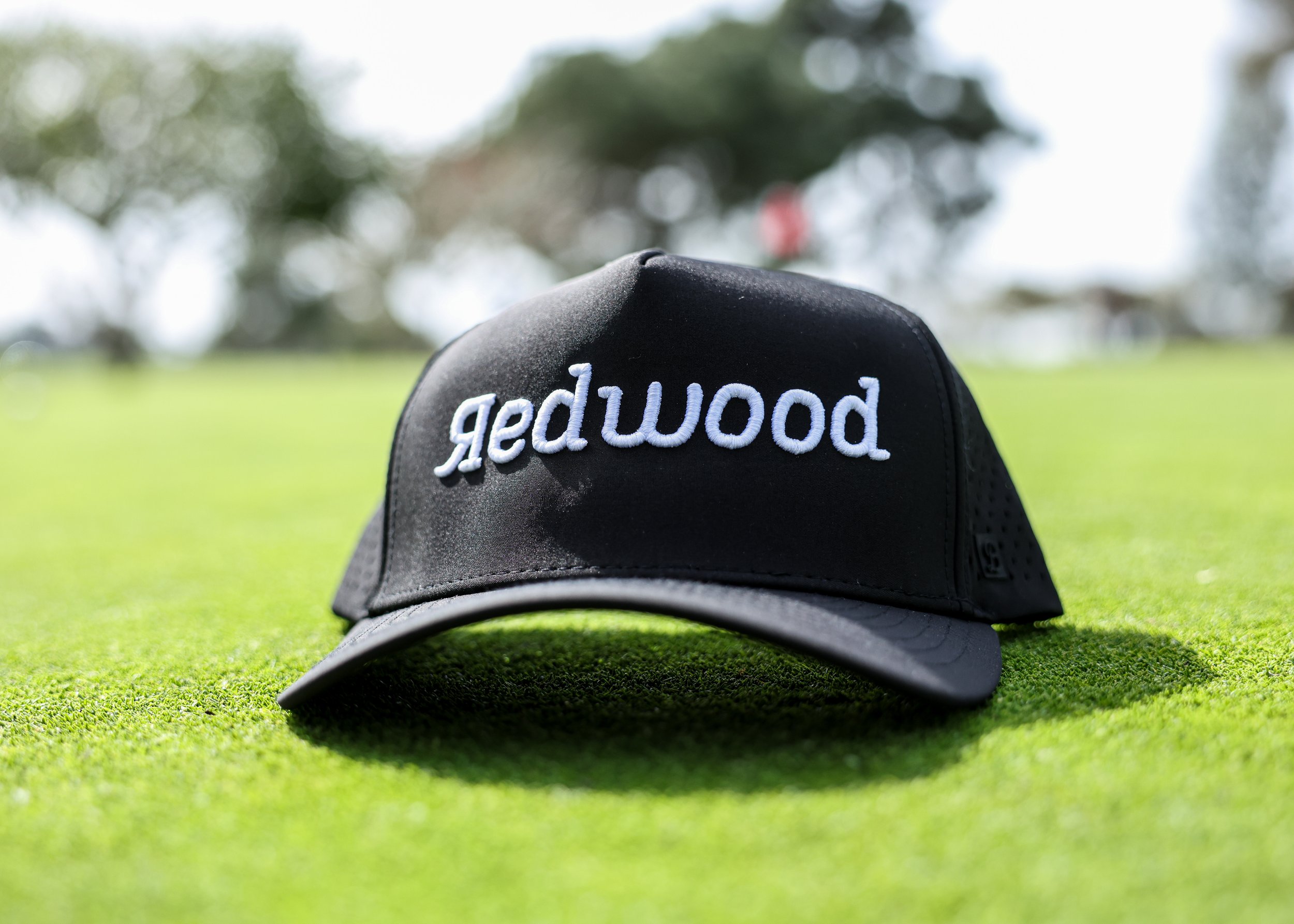 Redwood-026.jpg