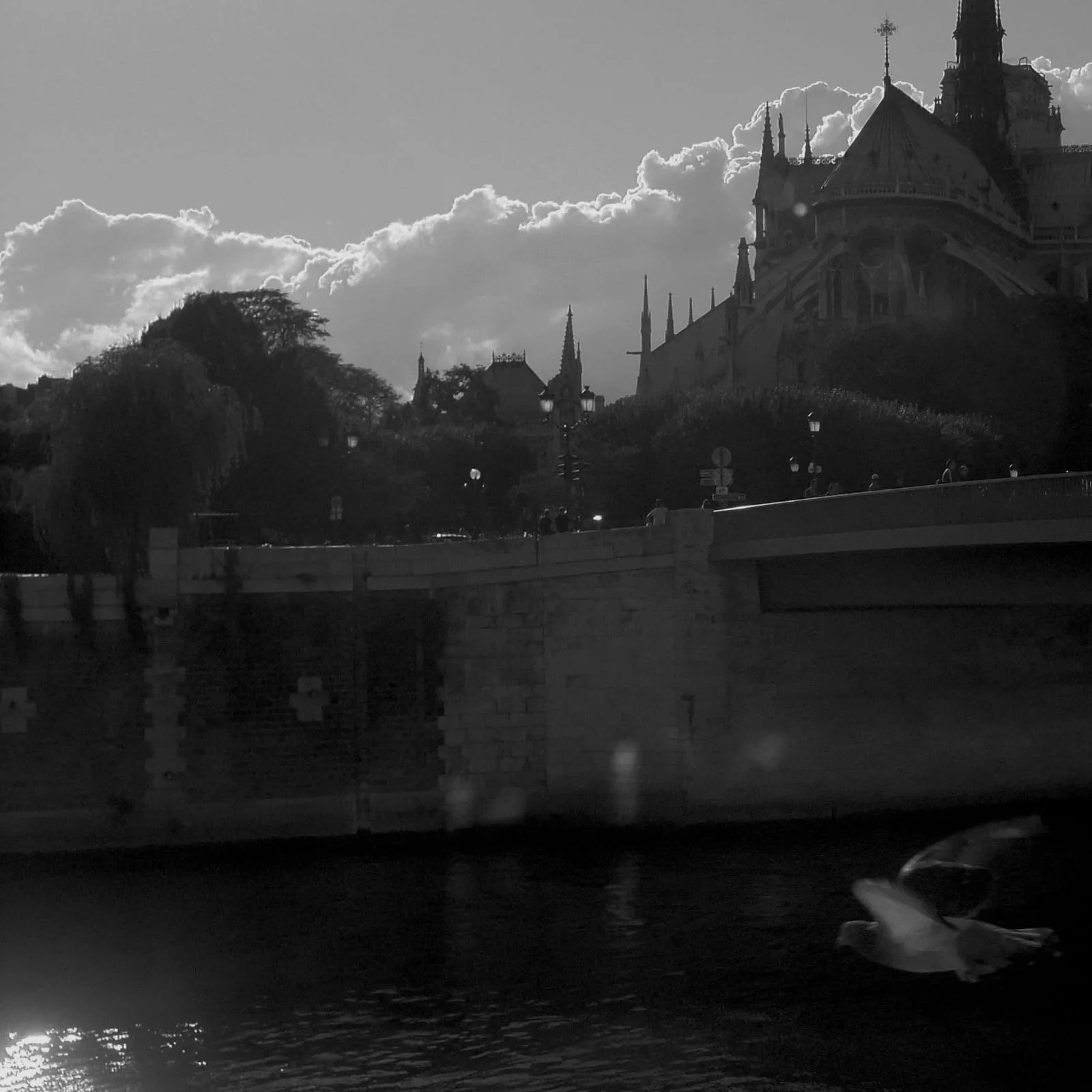4f5730ea-bfa4-4538-9d37-36f2a6cac5d3.jpeg