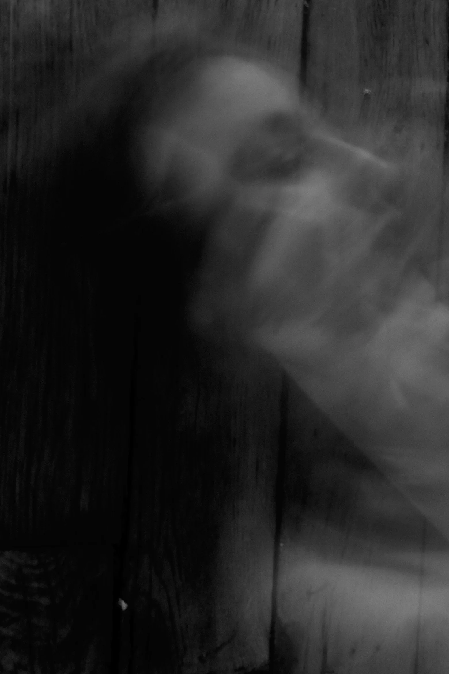 IMG_1221.jpeg