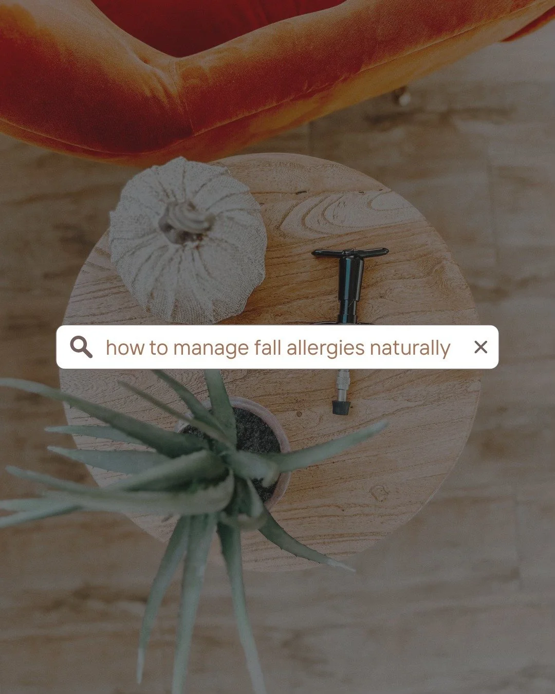 If your family always seems to struggle with sniffles, congestion, or itchy eyes this time of year, you&rsquo;re not alone! Ragweed, mold, and seasonal changes can put extra stress on the body. The key factor isn&rsquo;t just what&rsquo;s in the air,