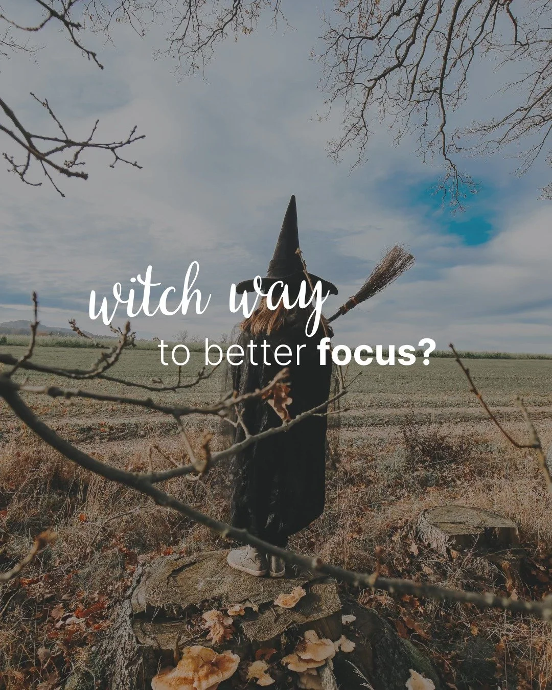 Witch Way to Better Focus? âĻð§‍âïļ
When kids have a hard time staying on task, it’s not always necessarily about the effort they’re putting in, it often ties back to how well their nervous system is working behind the scenes.
Inside