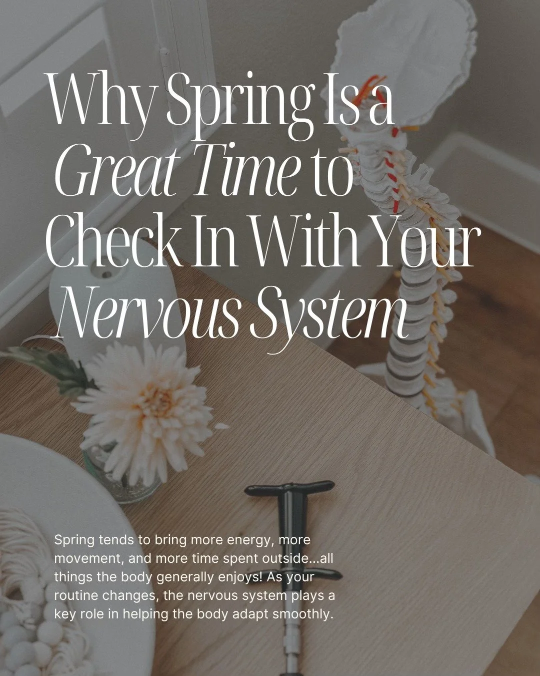 Spring tends to bring more energy, more movement, and more time spent outside&hellip;all things the body generally enjoys! 🤍 As your routine changes, the nervous system plays a key role in helping the body adapt smoothly.

The nervous system is cons