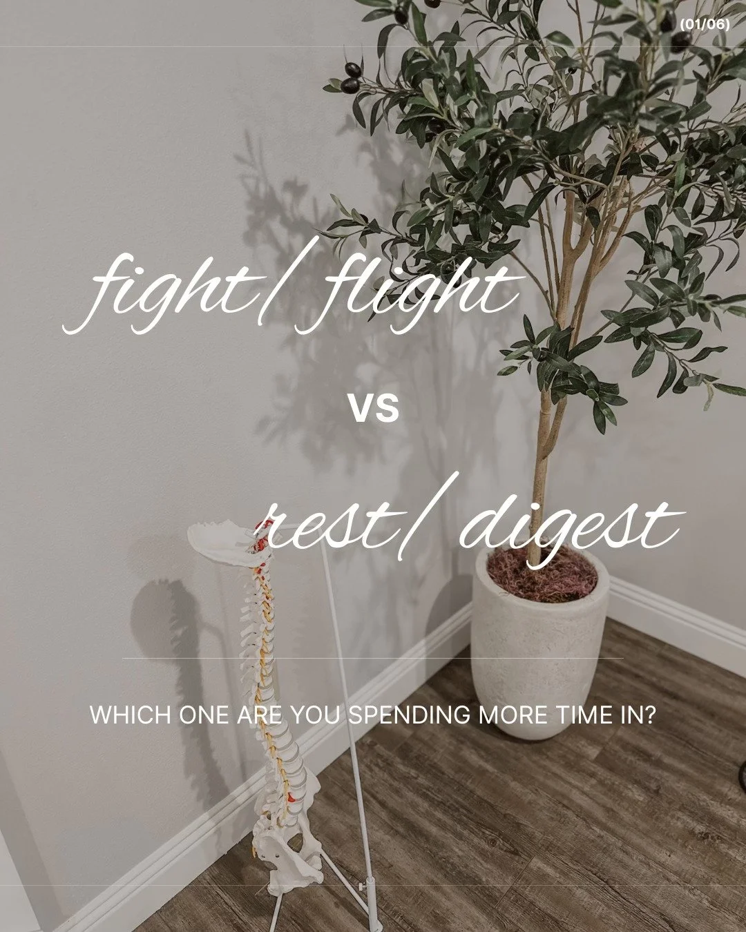 Most people don&rsquo;t realize how much time their body is spending in fight-or-flight&hellip;instead of rest-and-digest. 👀

Moving through busy days, handling stress, and constantly staying &ldquo;on&rdquo; can start to feel normal - but your nerv