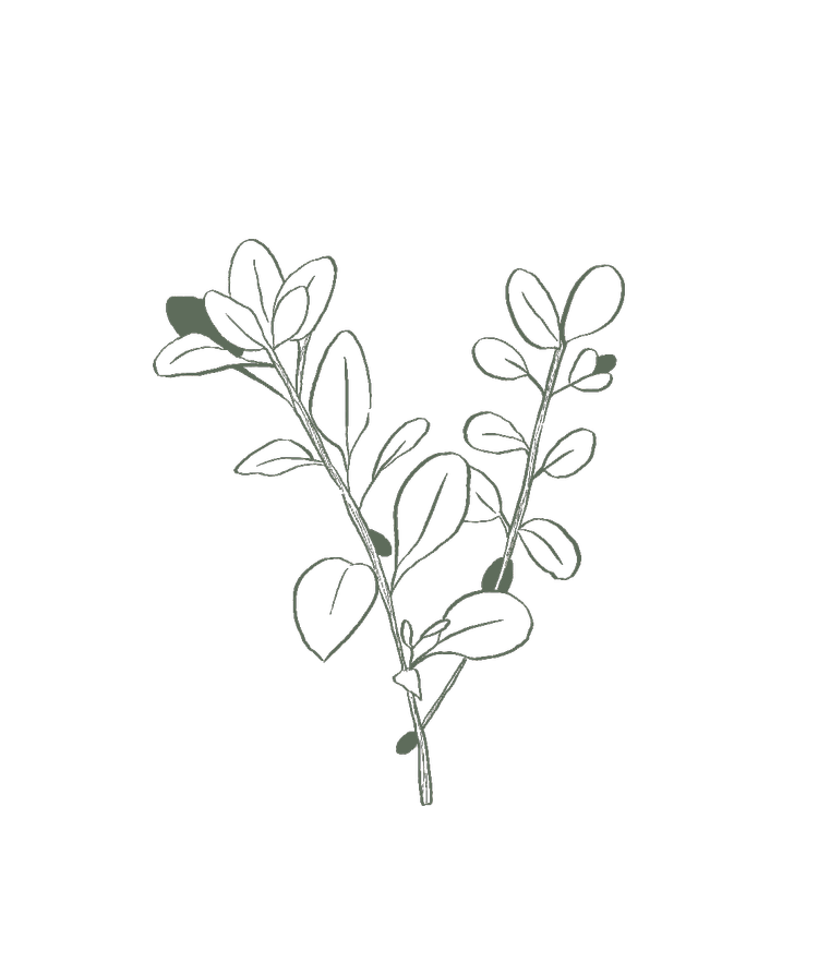 A simple line drawing of a sprig of green herb, possibly thyme, on a black background.