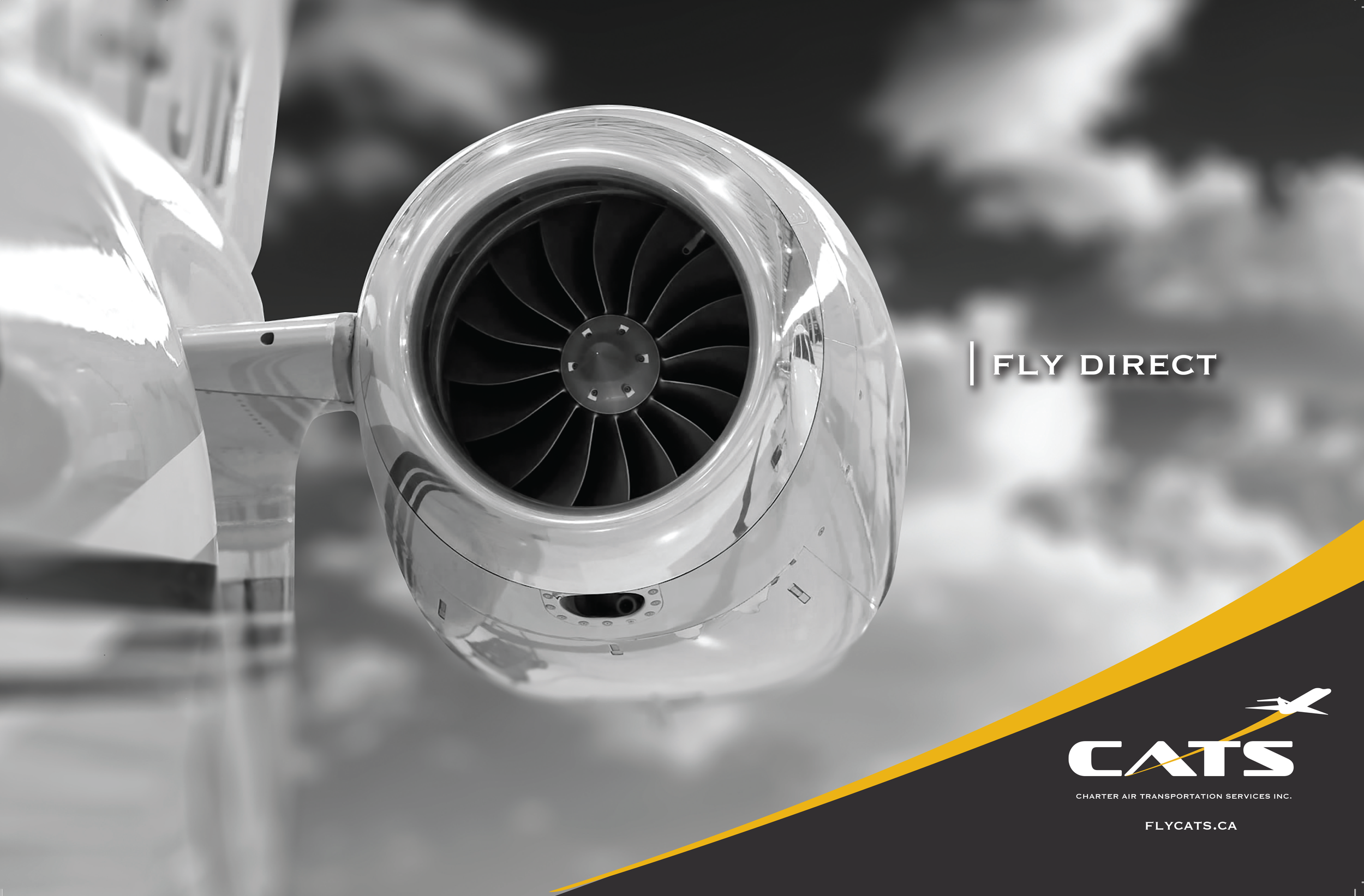 Flycats Magazine SpreadsFINAL-1.png