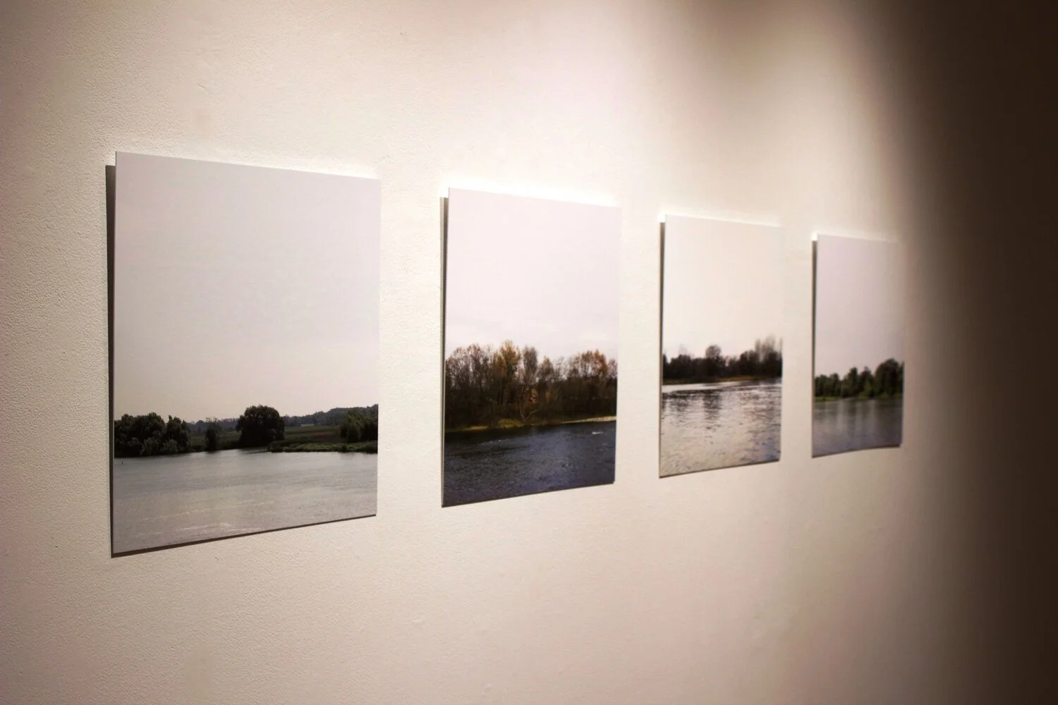 Four landscape photos of a river and trees displayed on a wall.