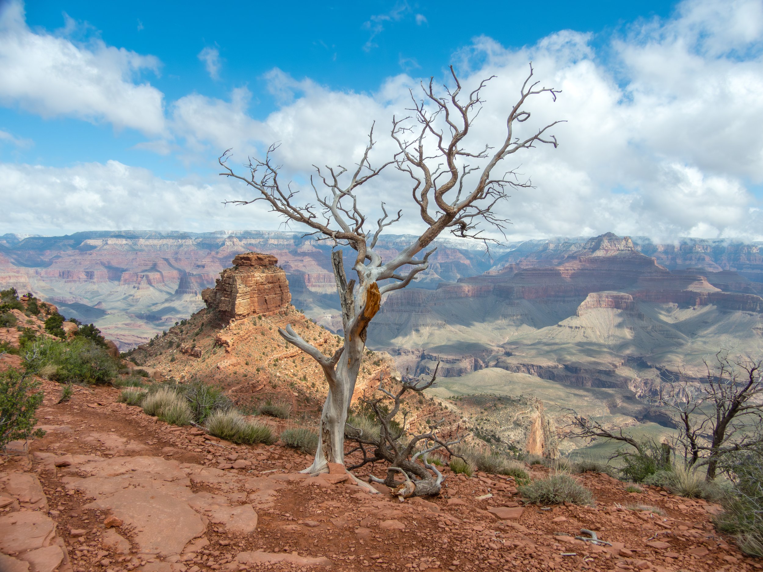 Grand Canyon.jpg