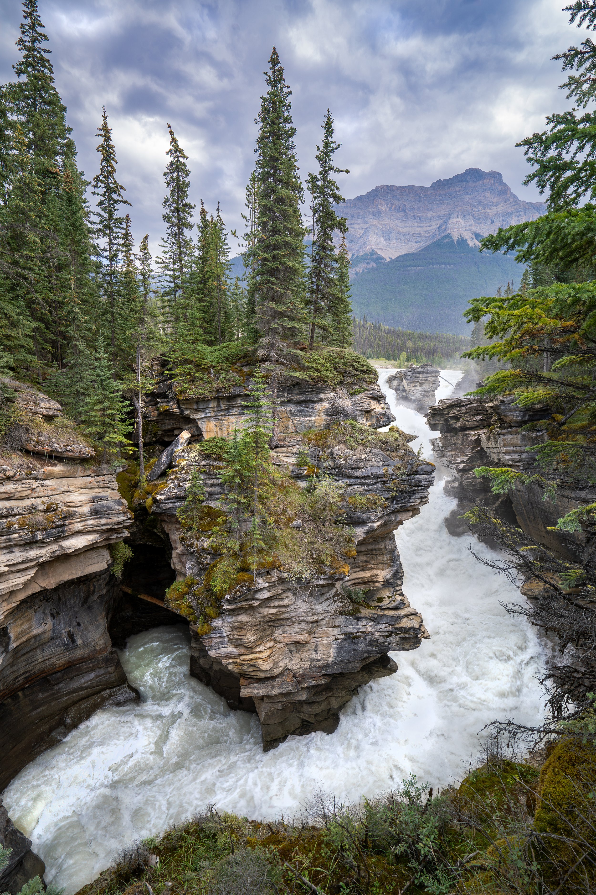 Banff river bend.jpg