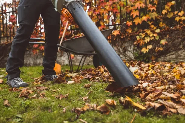 Leaf Blowing Generic.webp