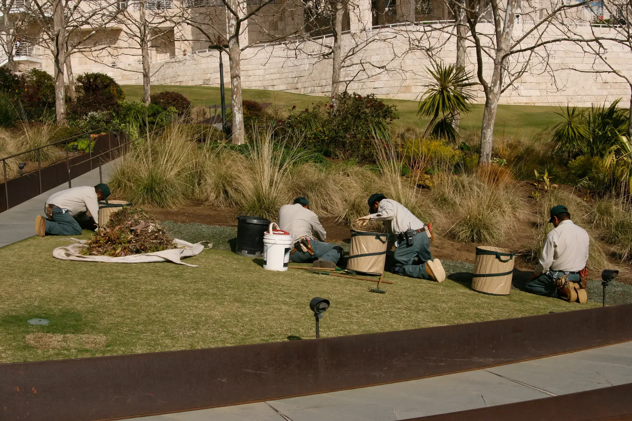 Four maintenance workers kneeling on the grass, planting or working on bushes in a landscaped area with trees and bushes, near a concrete wall.
