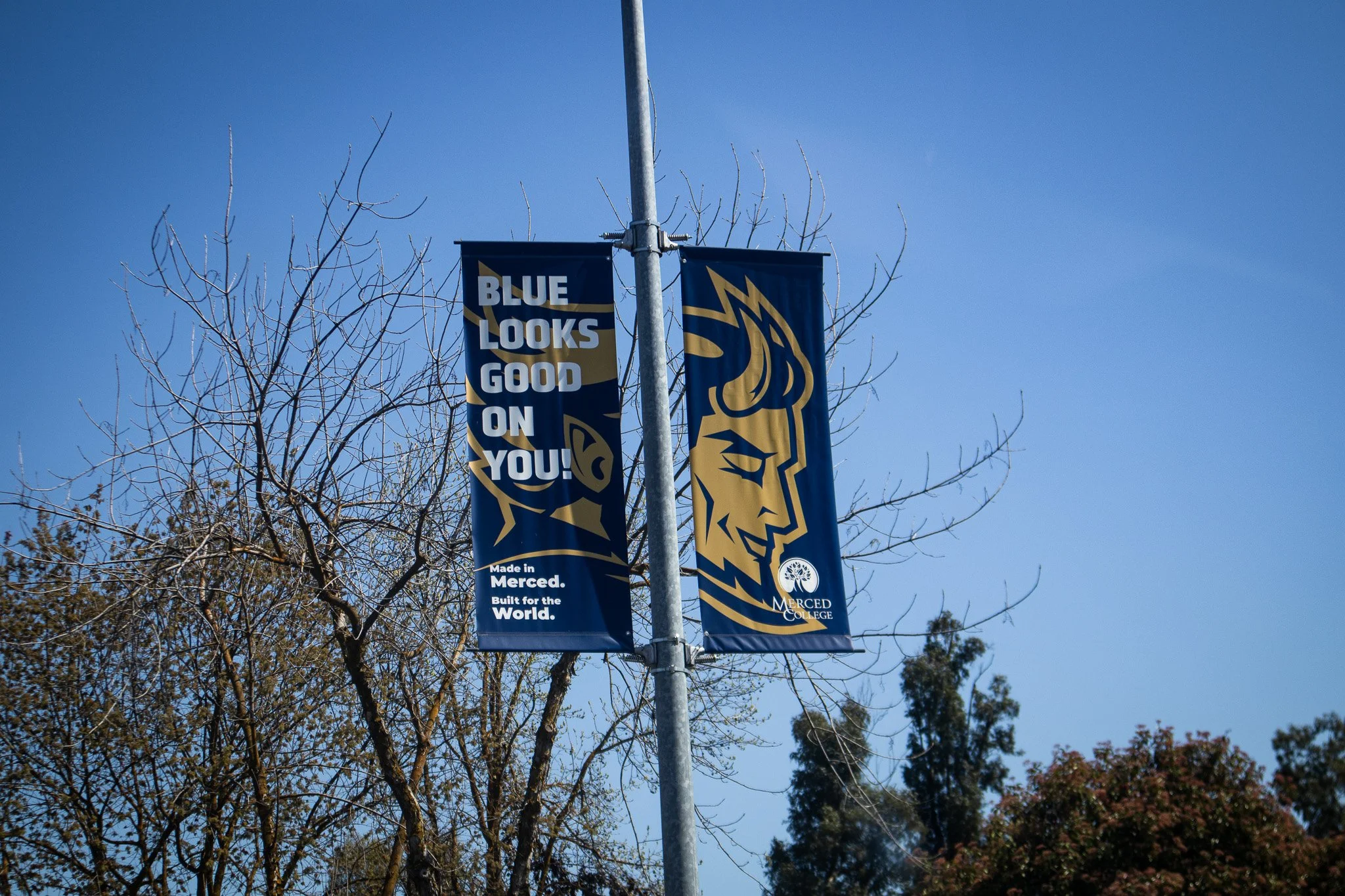 Two vertical Merced College pole banners hanging on a lamp post, one with the text 'Blue Looks Good on You!' and a stylized blue and gold horned face, the other with the Merced College logo, against a backdrop of leafless trees and a clear blue sky.