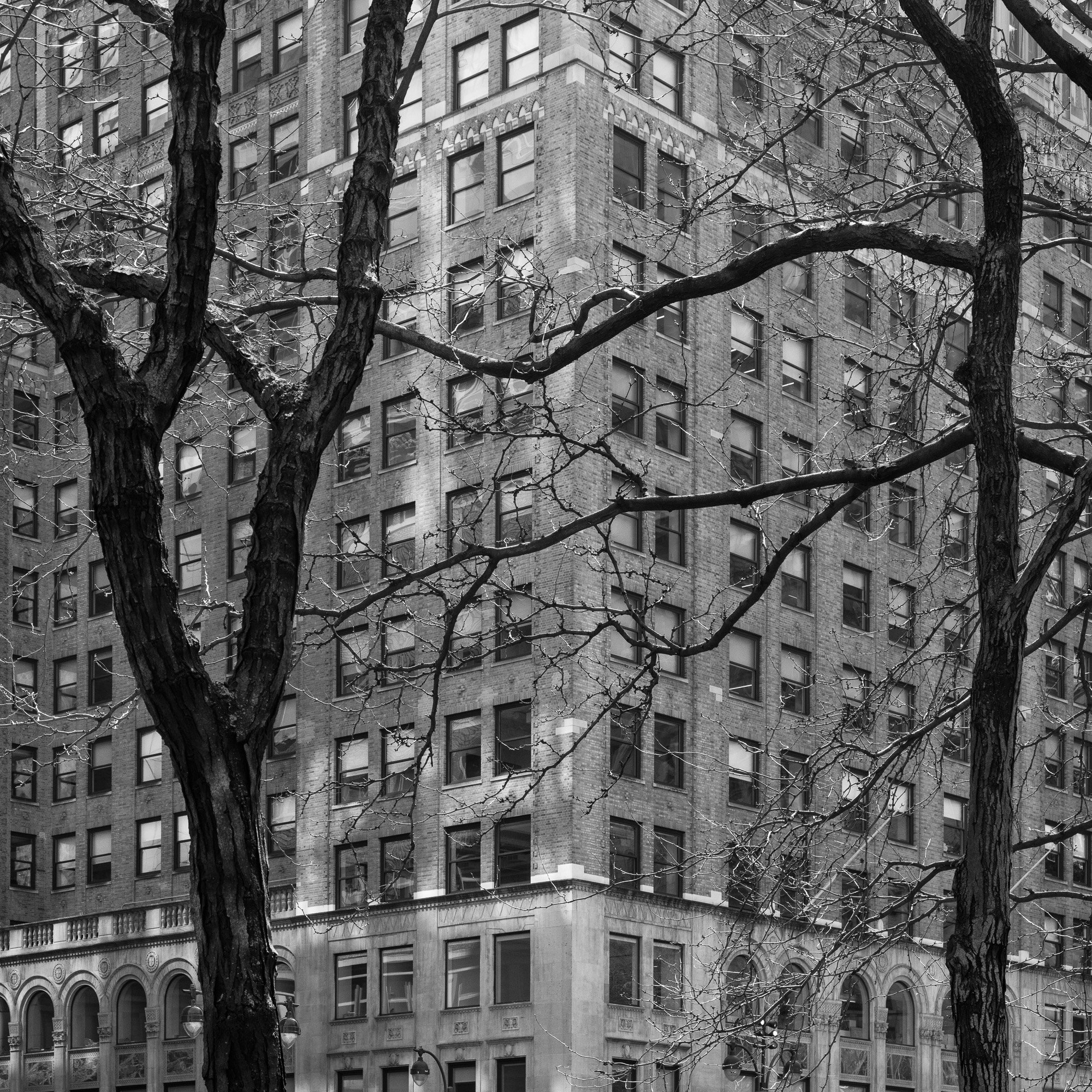 5ª Avenida, Nova York, 2019