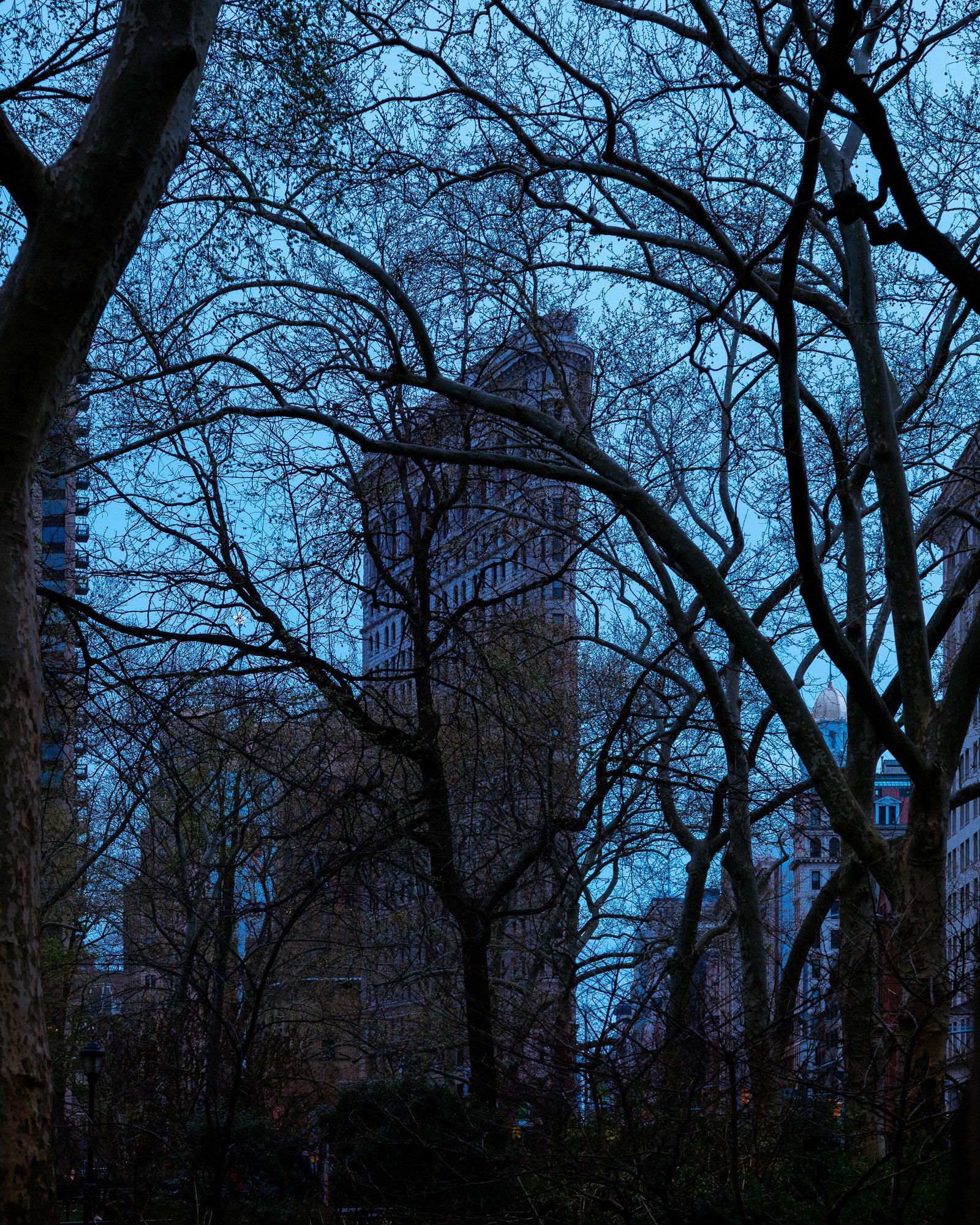 Flatiron Building IV, Nova York, 2019