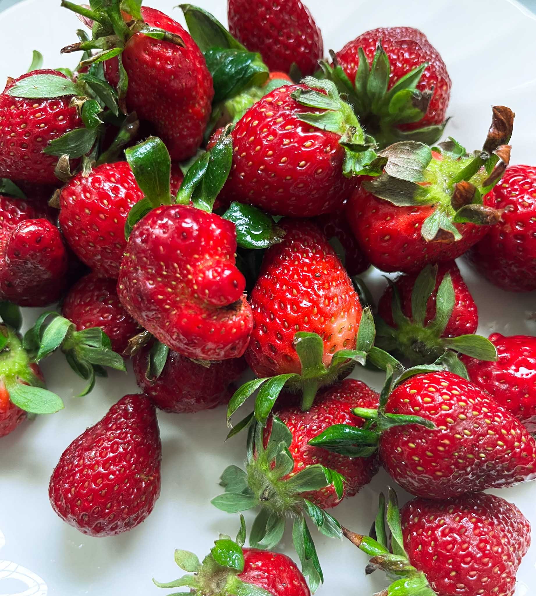 Fresas: La Joya Roja de la Primavera
