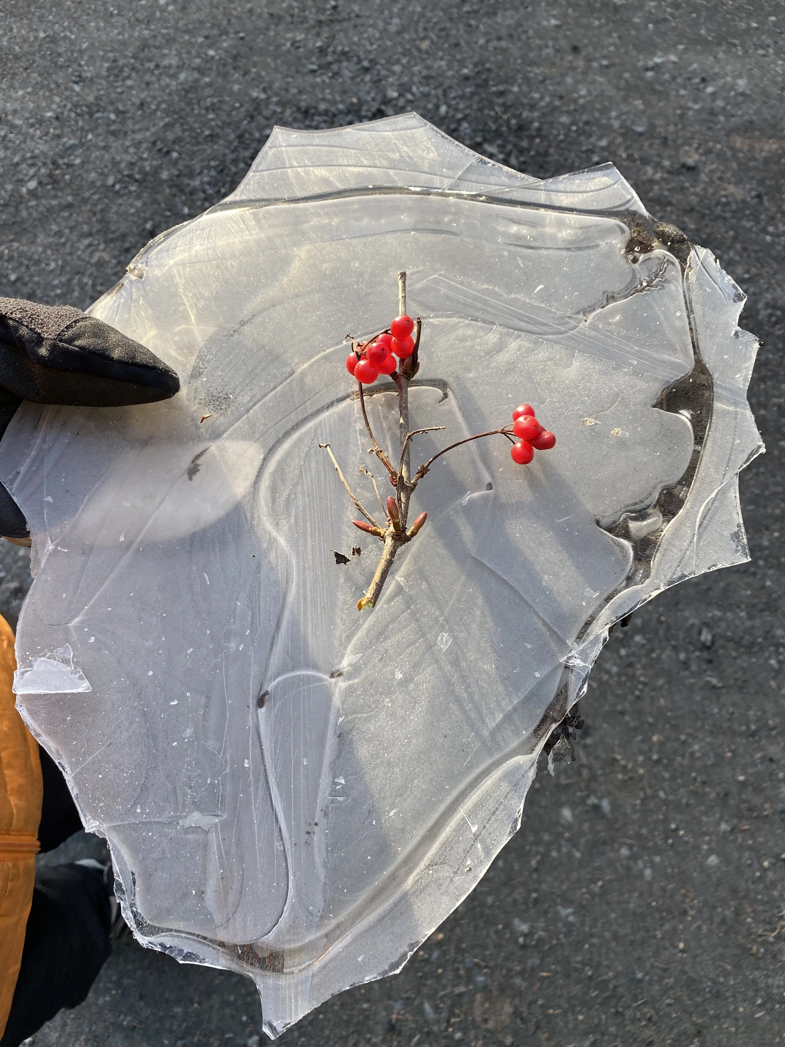 Trauma-Informed Indigenous Solutions™ Certificate