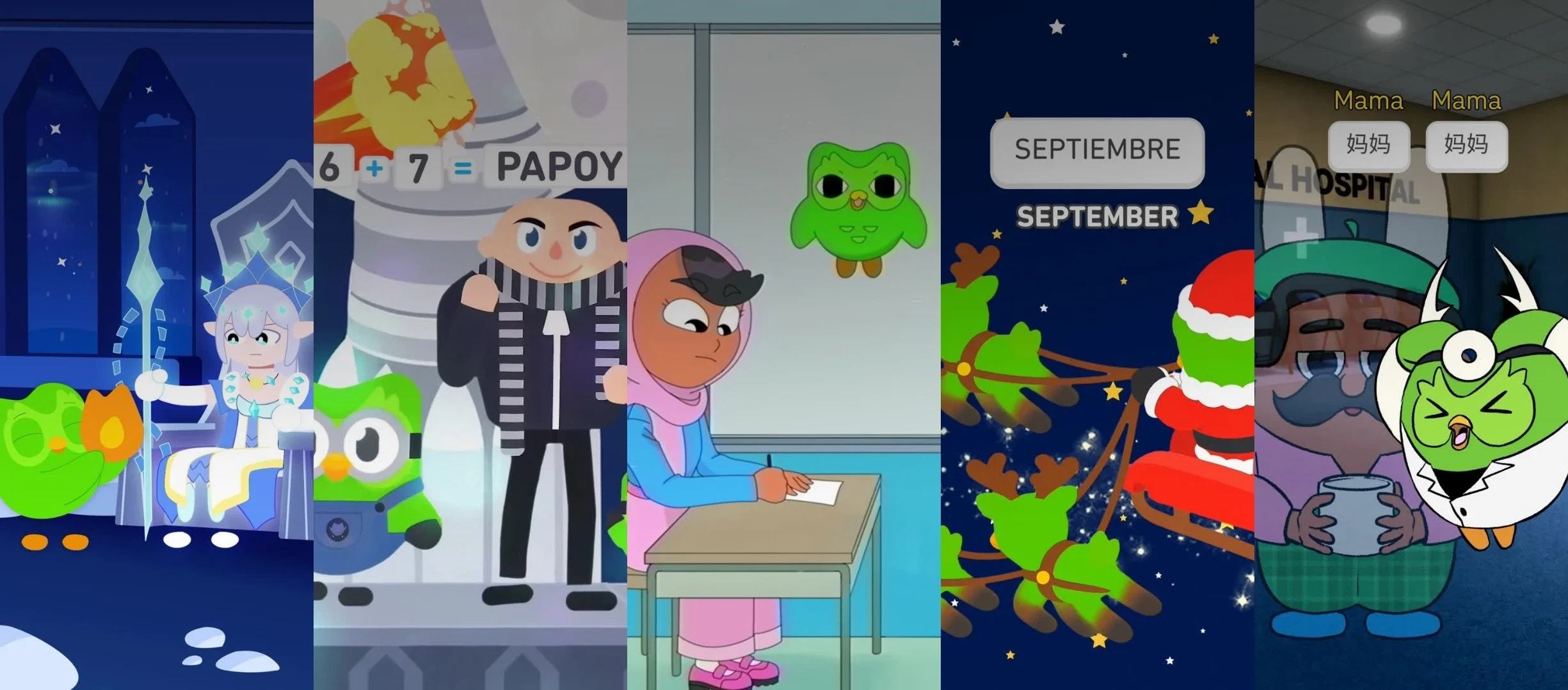 KK Website Video.jpeg