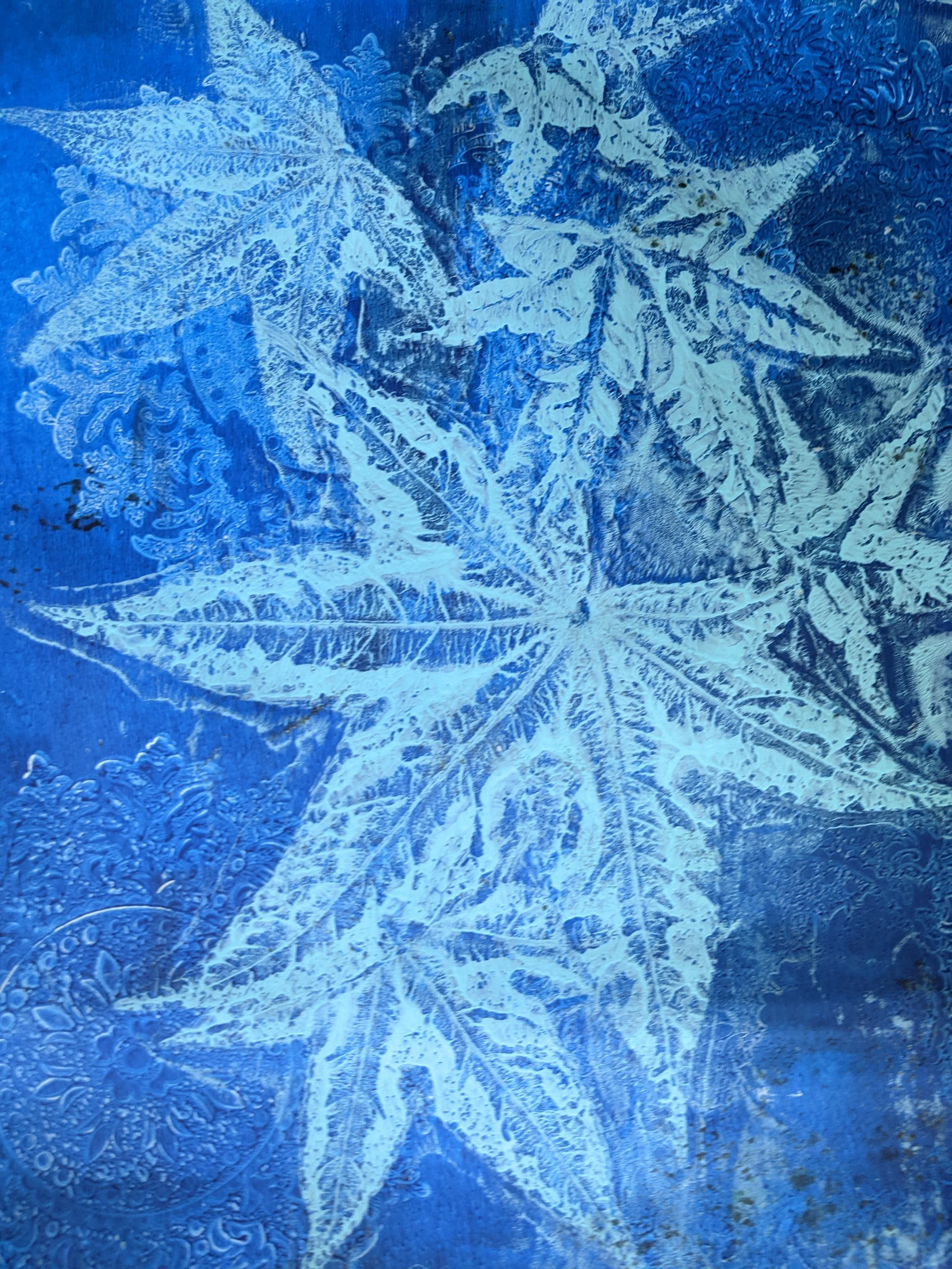 cyanotype.jpg