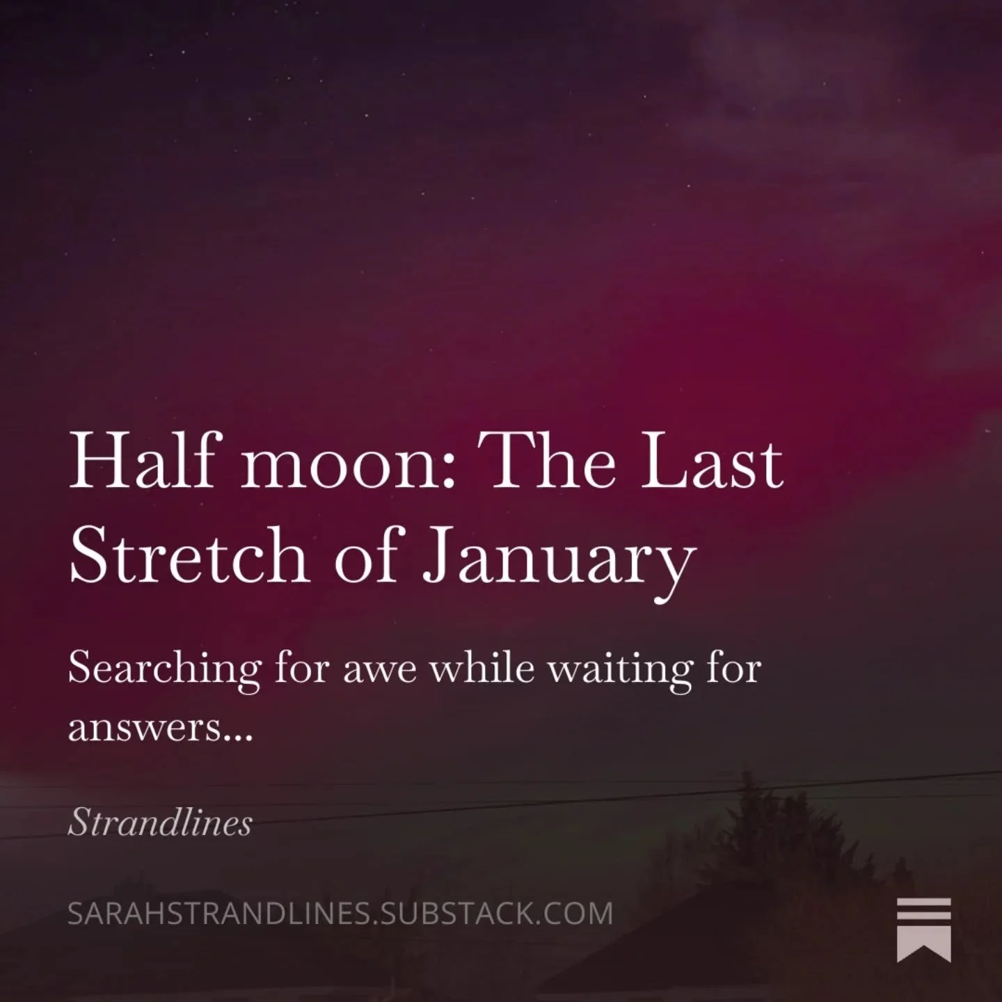 ➡️ I'm a day late with my free, half-moon Strandlines post after a hectic start to the week. 

Last week when things were quiet, I needed to seek out a bit of awe whilst I waited for some answers and outcomes (which I still don't have). 

I'm getting