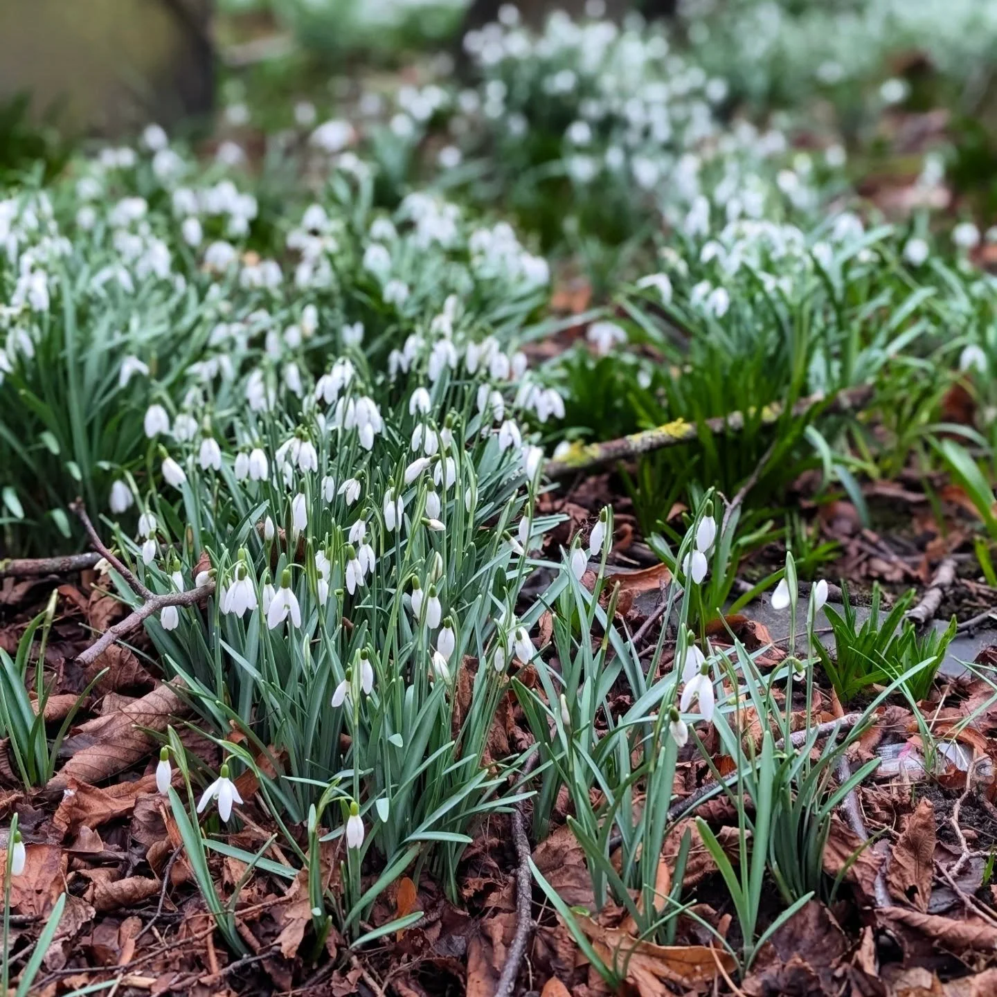 ➡️ I've been so grateful for these moments recently. I've not needed to wander far from home to gather these sparks of wonder which has been a real blessing when time and emotions are running tight. 

We've been moving my mum into a care home this we