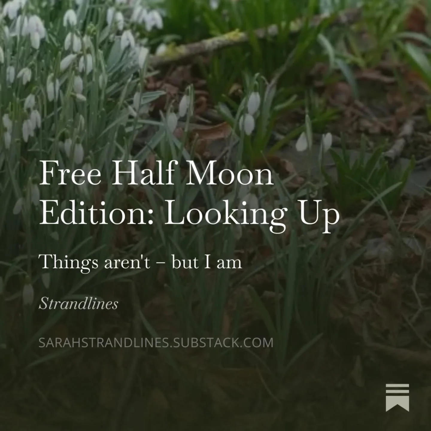 ➡️ I'm pleased to notice that 'birding' is widening. 

Thank goodness. 

More eyes on hedges and rooftops means more care for the places we share.
 
There are still those that don't, of course. But I'm trying to focus on the positive. 

Join me there