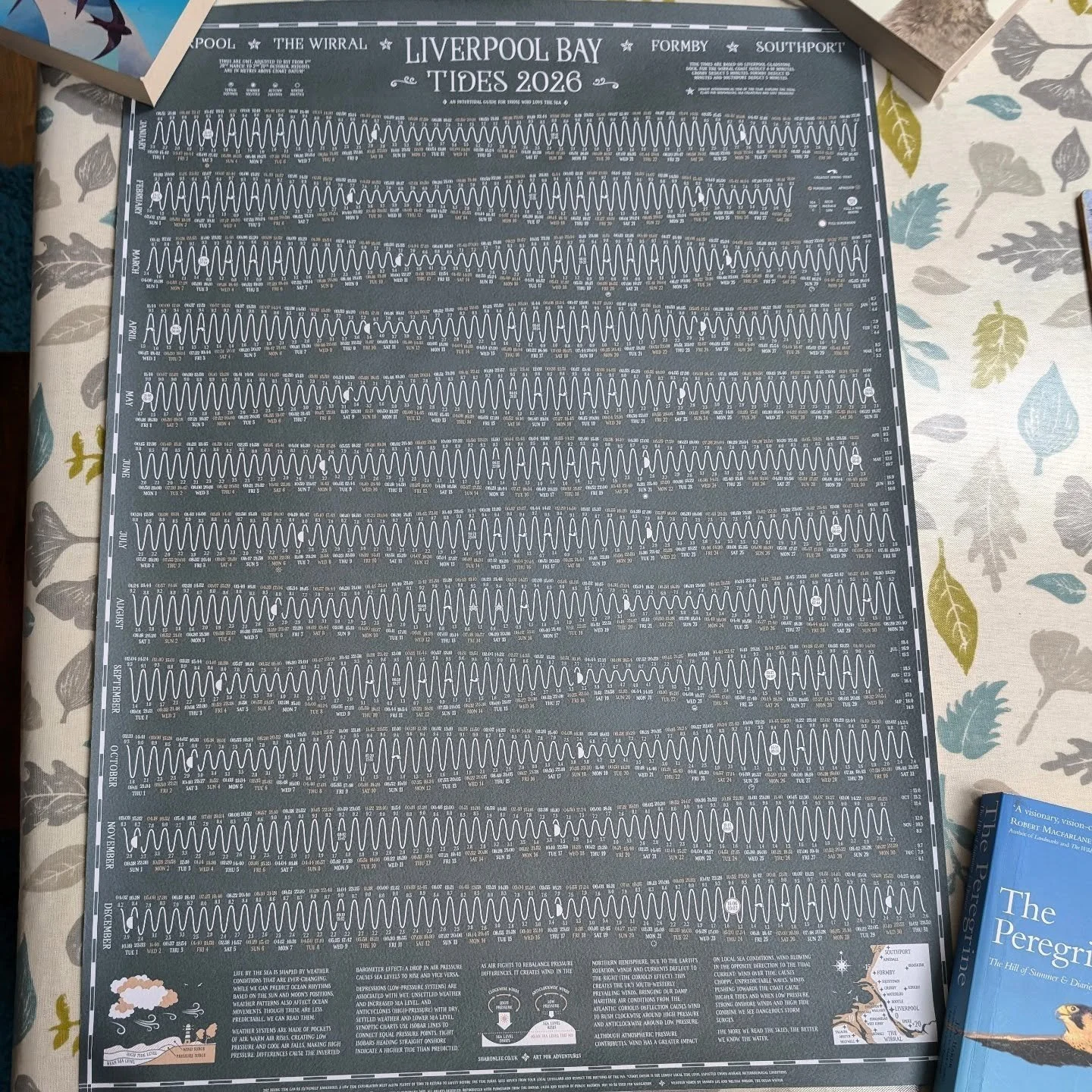 ➡️ A very kind subscriber to my Strandlines newsletter gave me this for my birthday yesterday. 

She knows me in real life too but isn't it wonderful when someone gets you a gift that says ' I know you, I understand you as well as, I've remembered yo