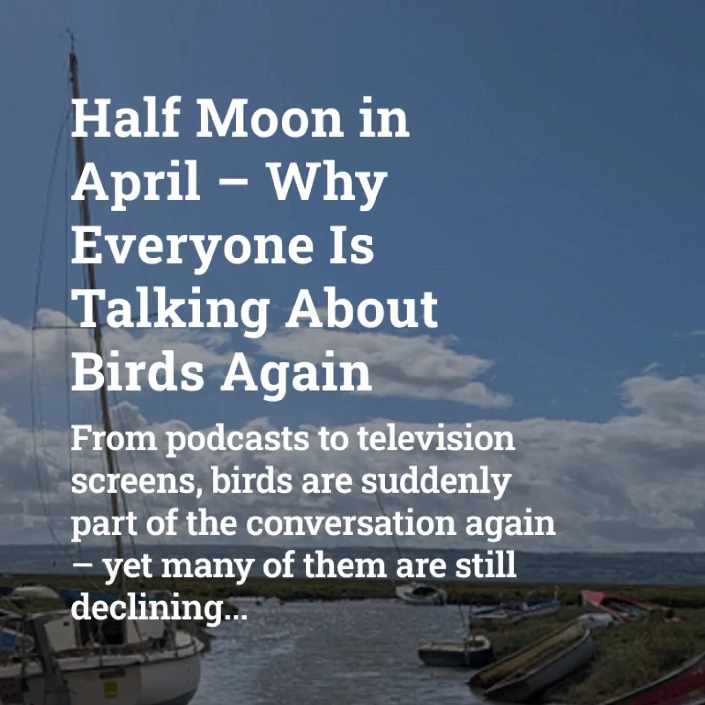 ➡️ Birds are suddenly everywhere again &ndash; on podcasts, on television, and in conversation. Yet many of them are still quietly disappearing. My latest Strandlines looks at this strange moment of attention, hope and house sparrows. Link in bio.

#