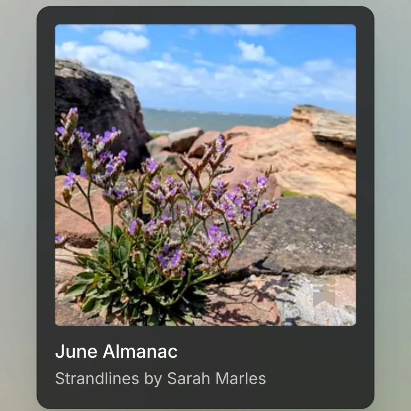 ➡️ My Almanac for the month of June has returned to your inbox over at Strandlines on Substack.

Together we welcome in the light.

Link in bio✨

#naturewriter #summersolstice #june2026 #almanac #strandlines