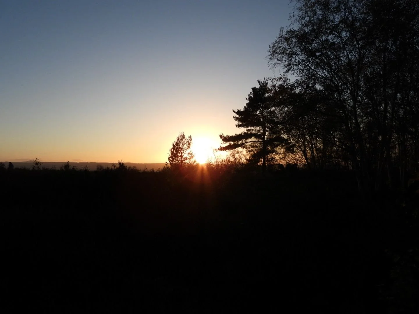 Sunset over a landscape with silhouetted trees and a clear sky.
