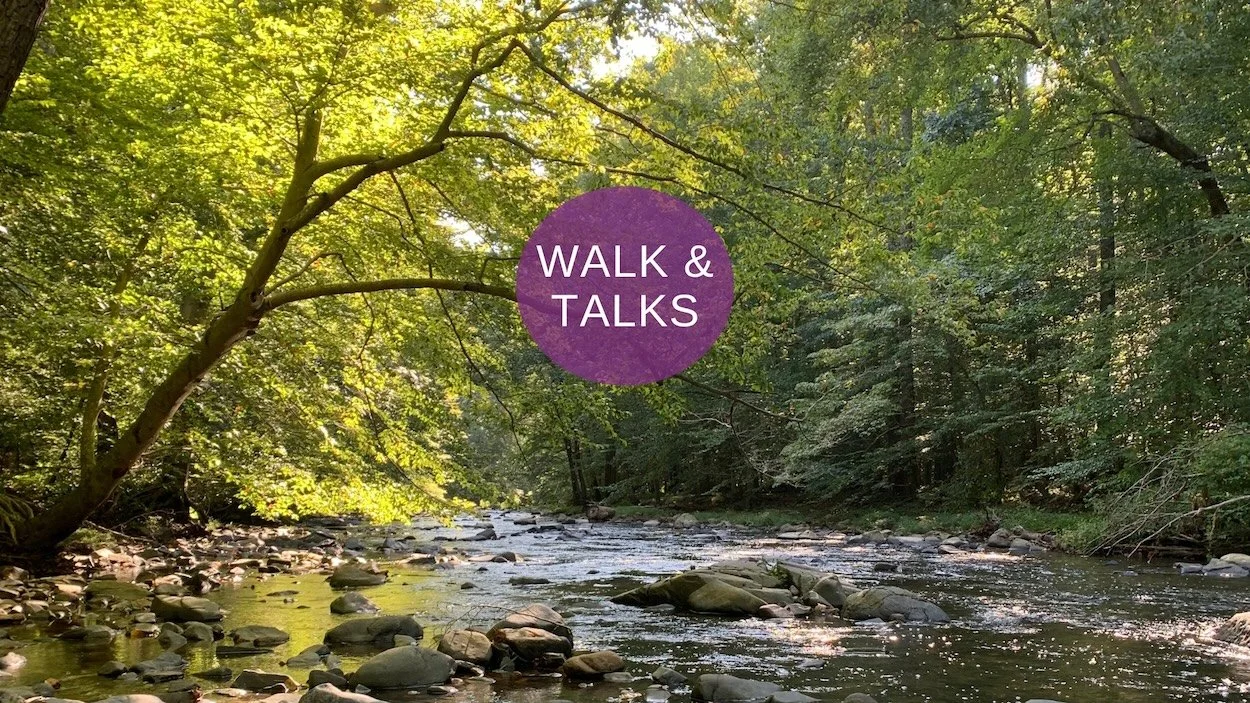 Walk &amp; Talk 
